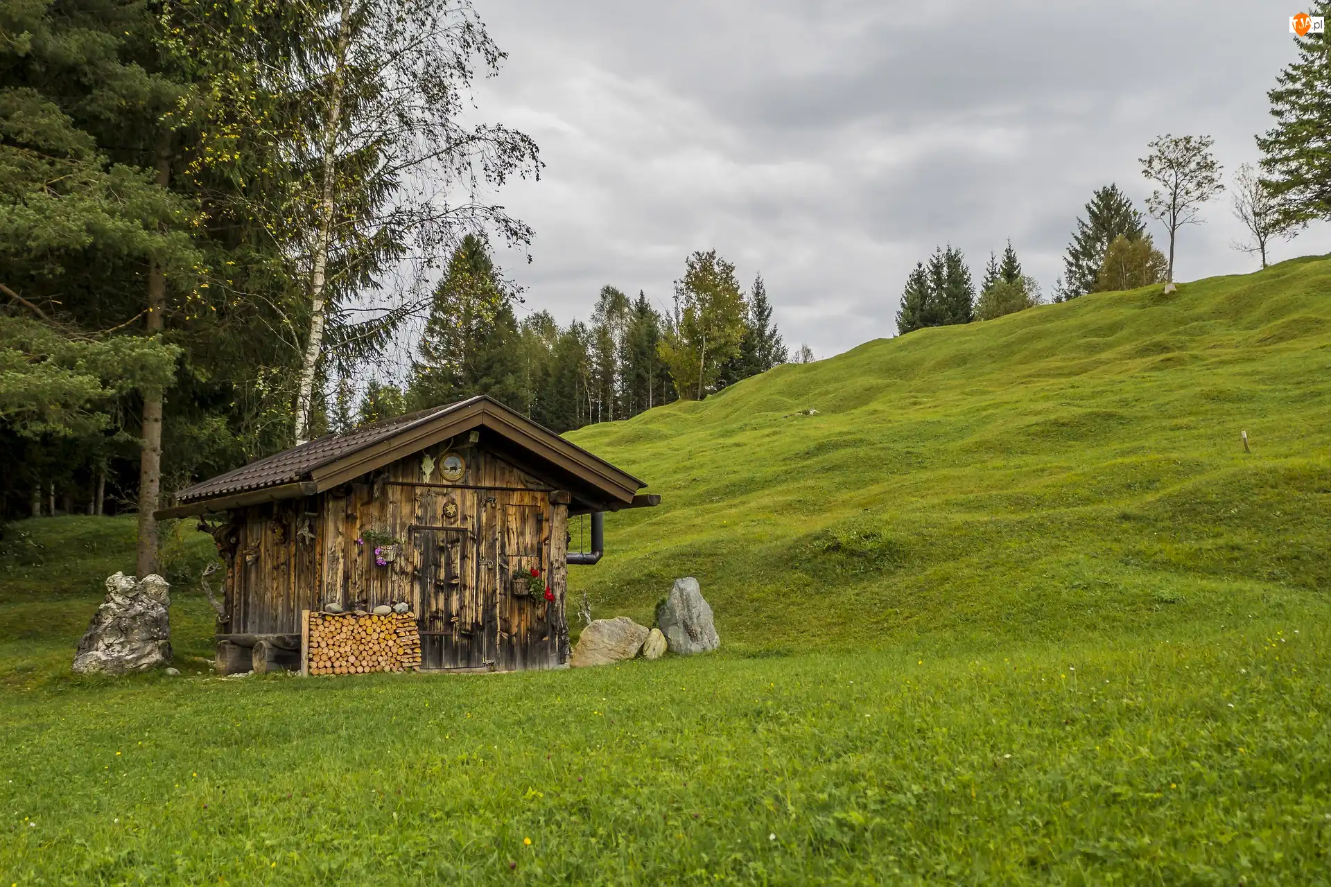 Drzewa, Chmury, Wzgórze, Łąka, Domek