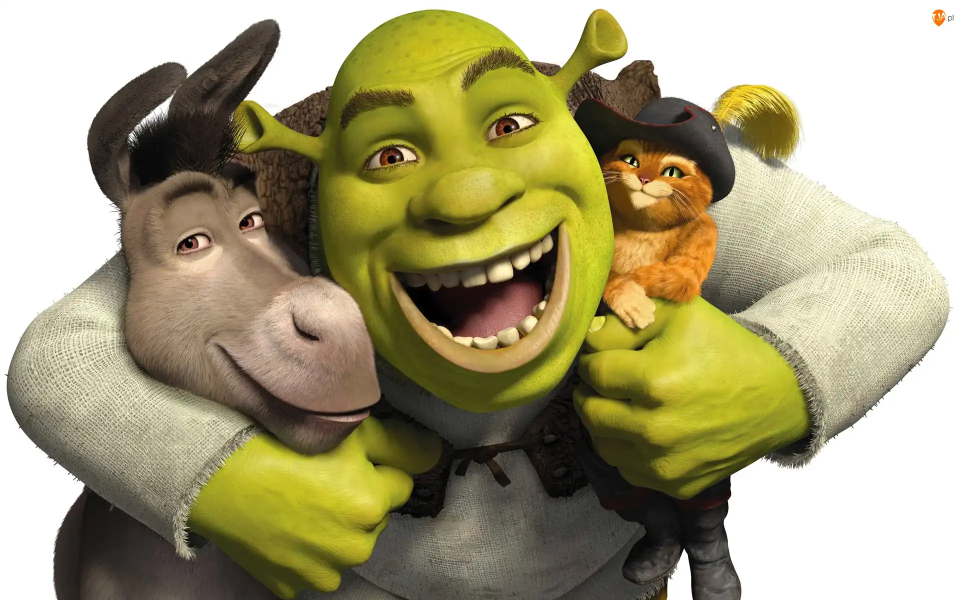 Kapelusz, Przyjaźń, Osioł, Shrek, Uśmiech