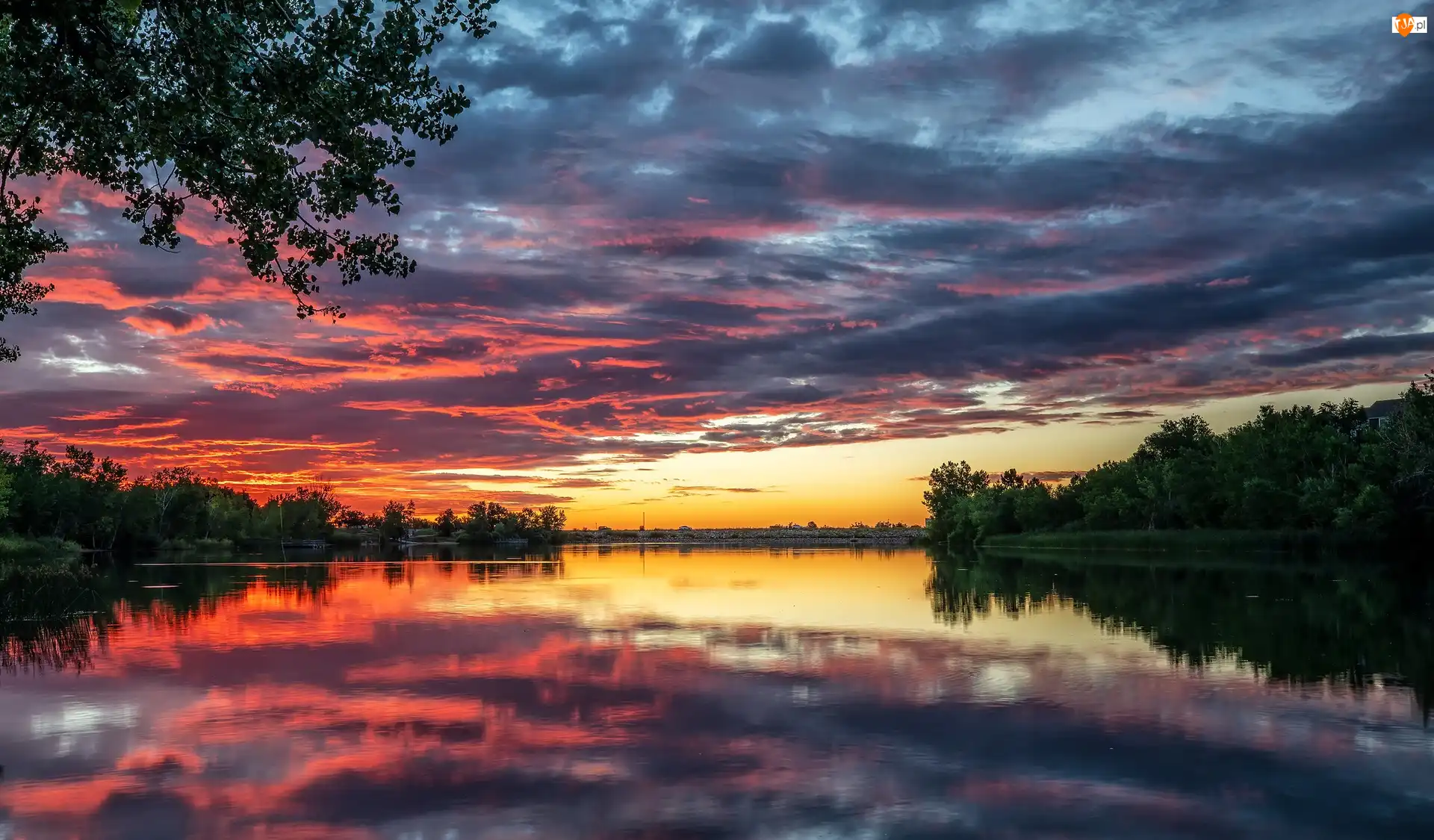 Odbicie, Kalifornia, Zachód słońca, Drzewa, Chmury, Jezioro, Quail Lake, Stany Zjednoczone, Las
