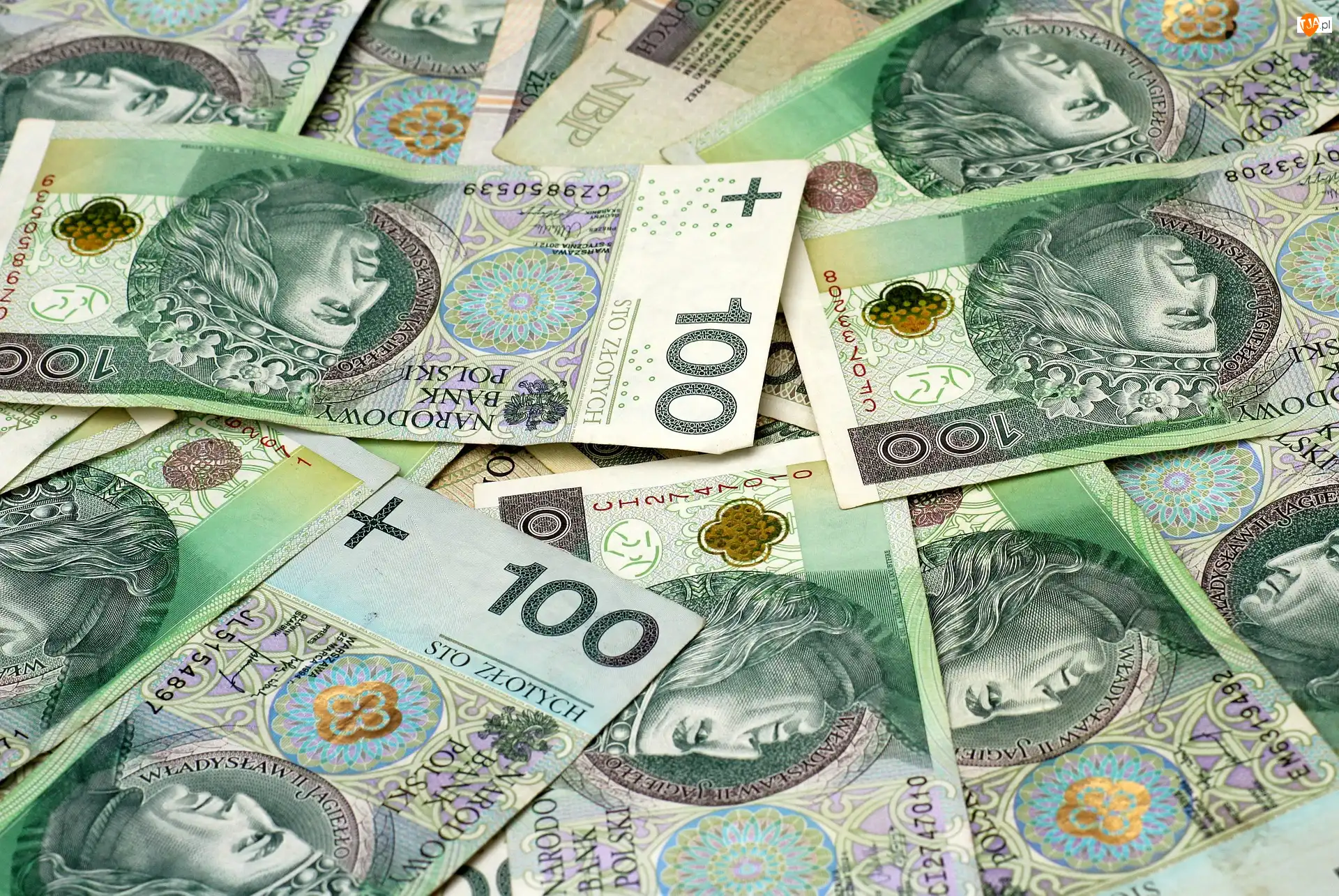 Stuzłotowe, Waluta, Banknoty