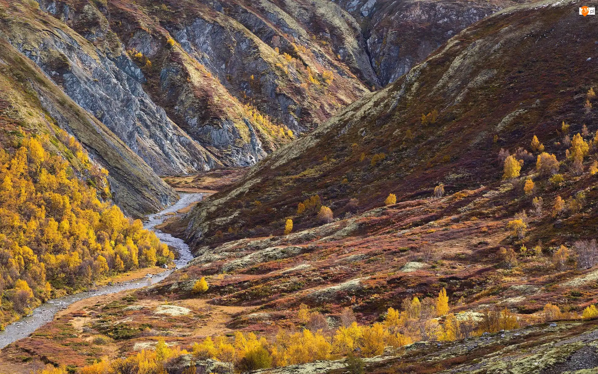 Góry, Skały, Drzewa, Norwegia, Jesień, Rzeka, Park Narodowy Rondane