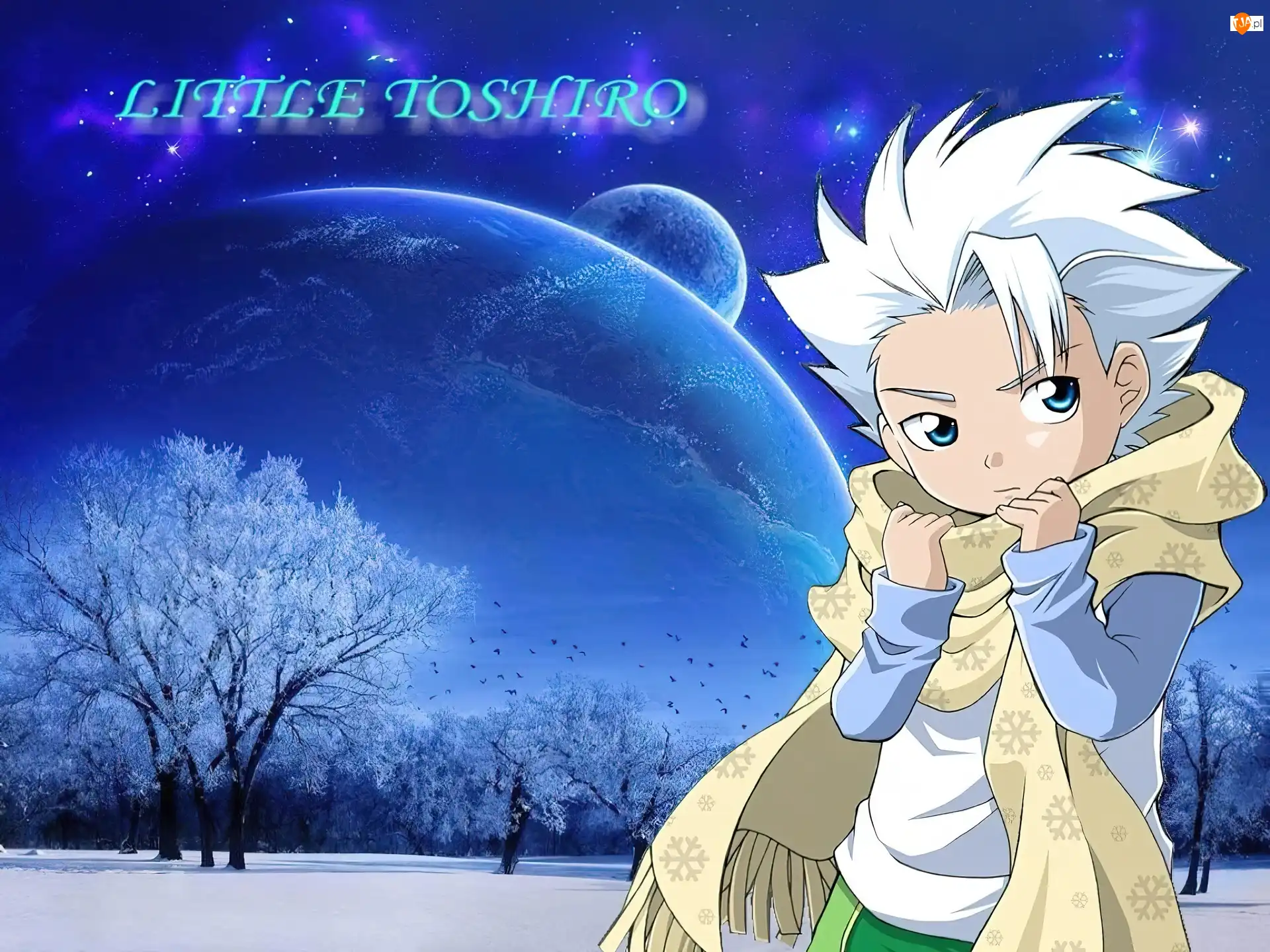 Toshiro, Mały, Hitsugaya