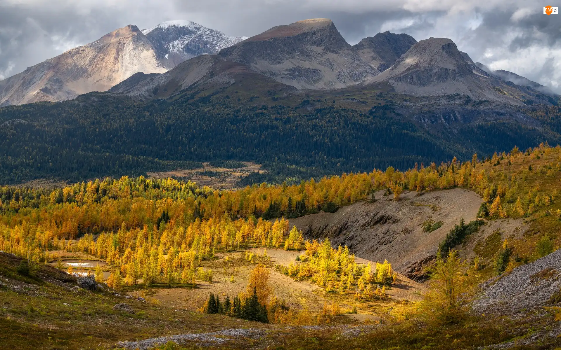 Kanada, Chmury, Park prowincjonalny Mount Assiniboine, Jesień, Góra, Góry, Las, Nub Peak, Drzewa, Kolumbia Brytyjska