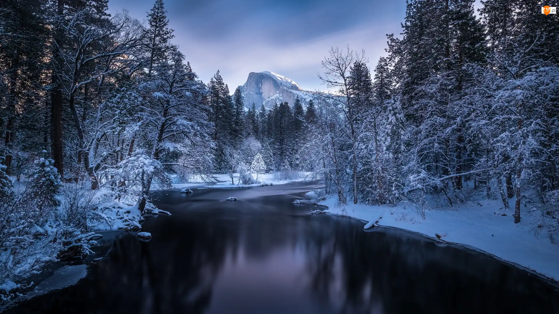 Drzewa, Park Narodowy Yosemite, Góry, Stan Kalifornia, Zima, Las, Stany Zjednoczone, Rzeka Merced River