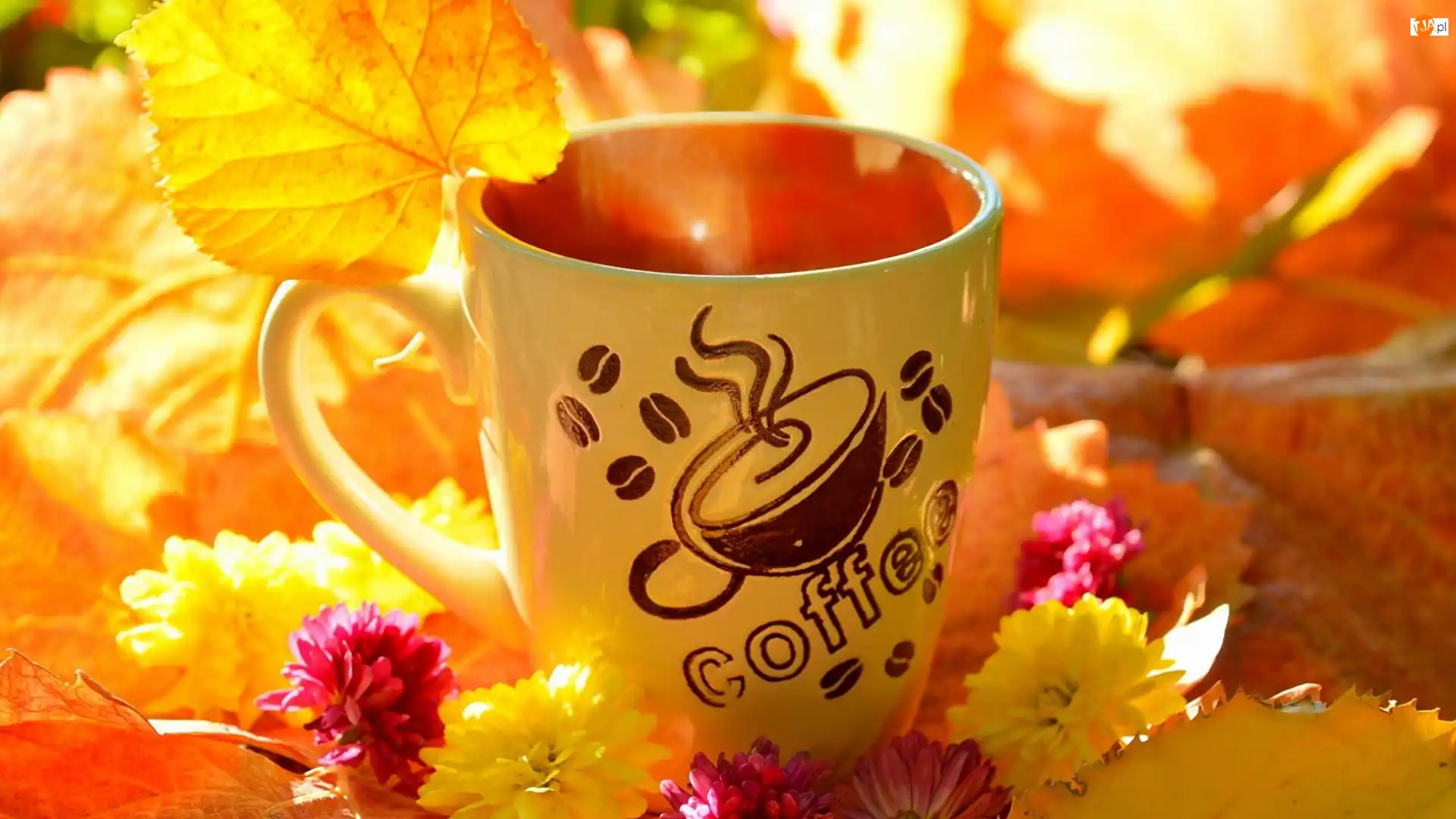 Kubek, Żółty, Coffee, Kwiaty, Napis, Liście