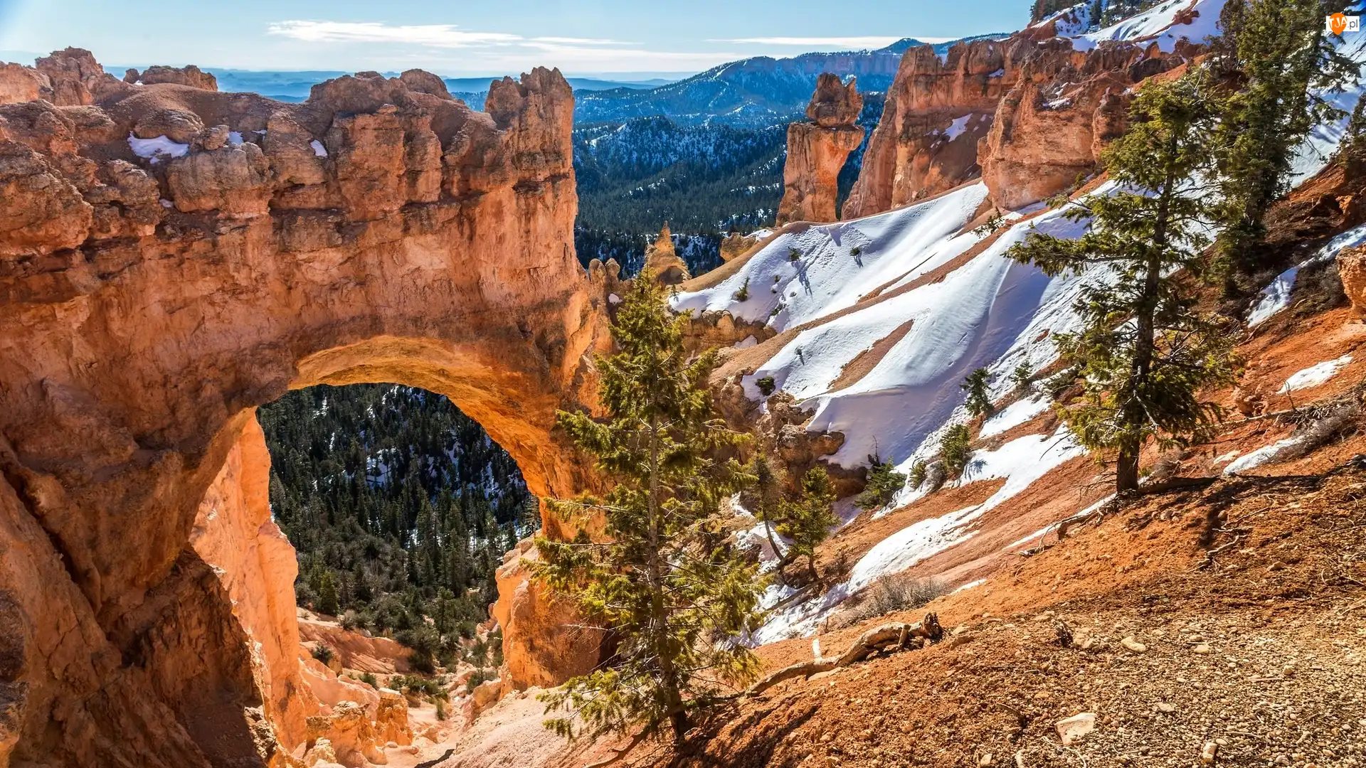 Drzewa, Stany Zjednoczone, Kanion, Łuk Natural Bridge, Stan Utah, Góry, Skały, Park Narodowy Bryce Canyon