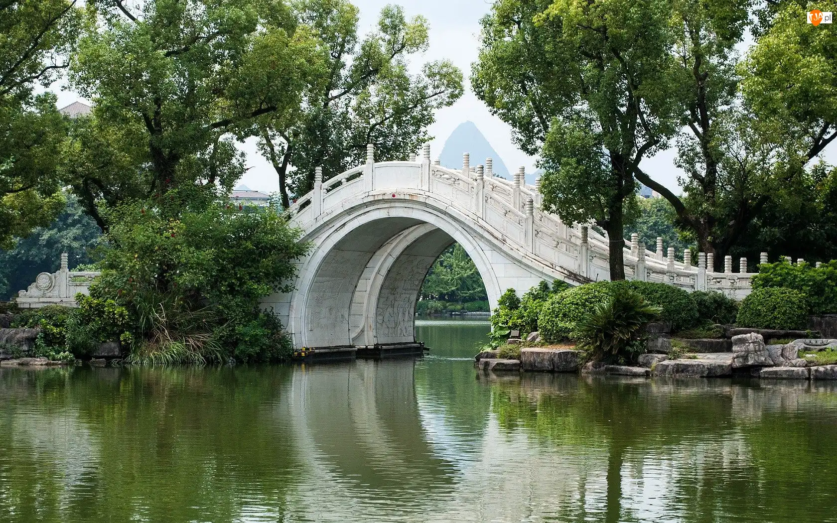 Mostek, Ogród, Park, Biały