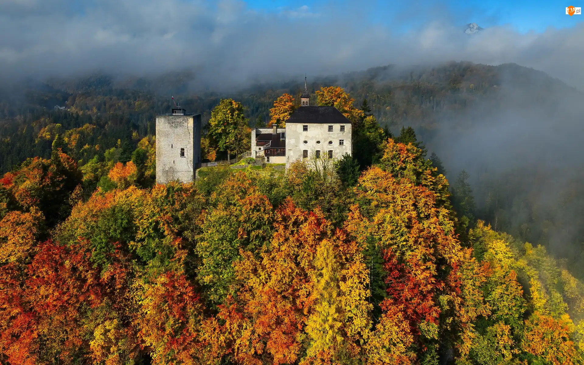 Zamek Thierberg, Las, Austria, Góry, Mgła, Jesień, Drzewa