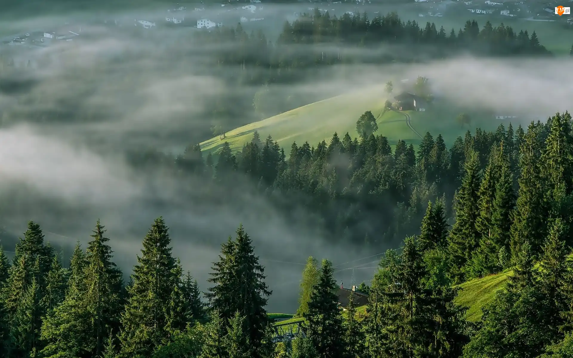 Lasy, Mgła, Austria, Góry, Tyrol, Alpy, Domy