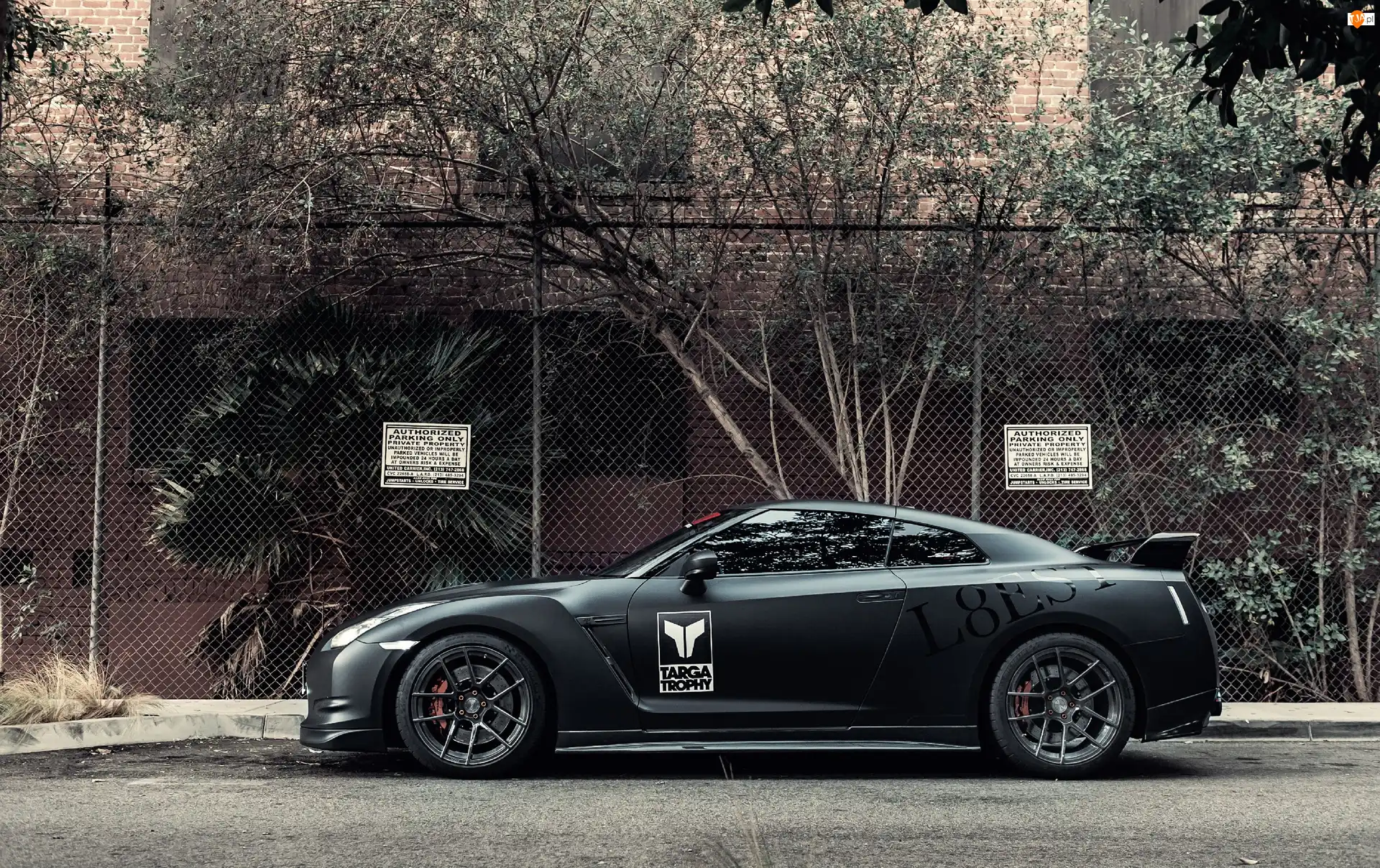 Drzewa, Nissan, GT-R, Ogrodzenie