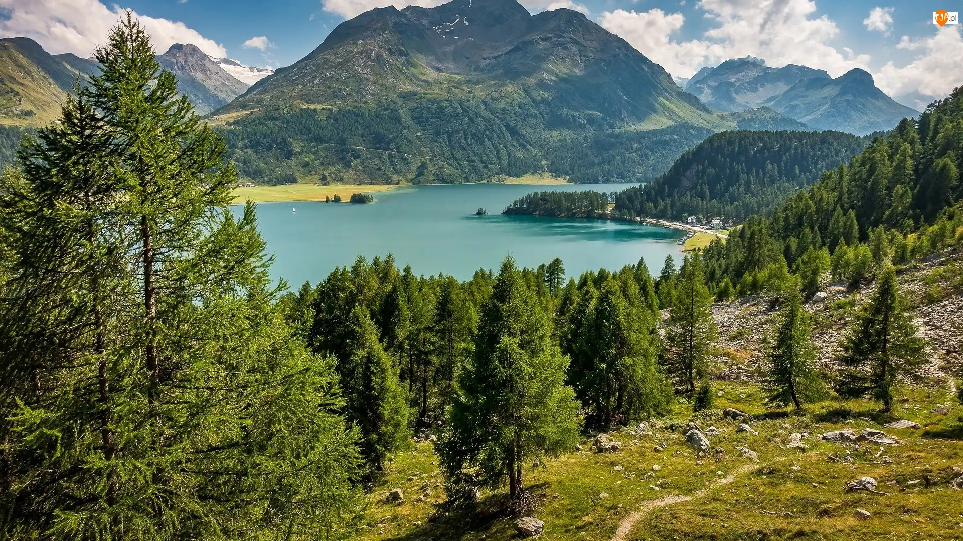 Drzewa, Dolina Engadyna, Szwajcaria, Góry Alpy, Kanton Gryzonia, Szczyt Piz da la Margna, Jezioro Silsersee