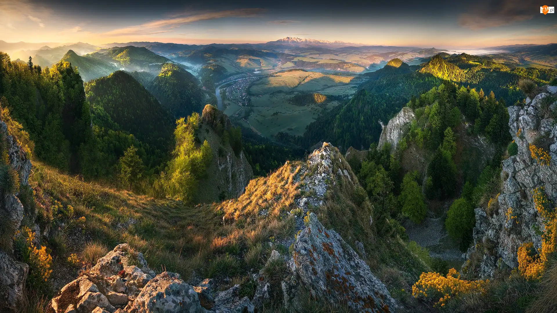 Mgła, Wschód słońca, Skały, Las, Góry, Trawa