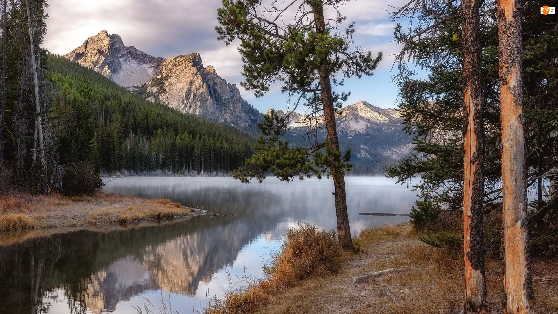 Sosny, Góry, Stanley Lake, Idaho, Sawtooth Range, Drzewa, Stany Zjednoczone, Jezioro