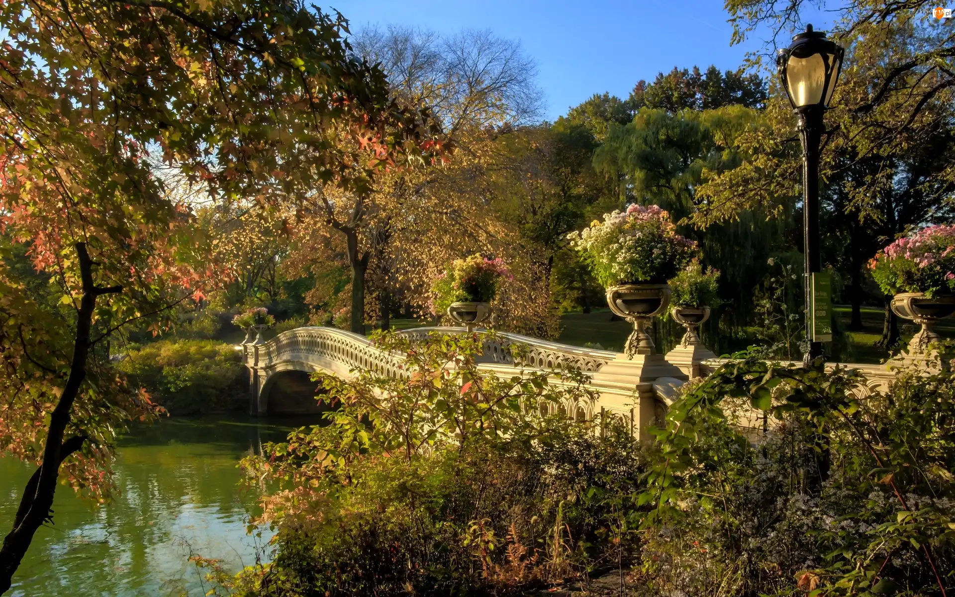 Jesień, Park, Most, Drzewa