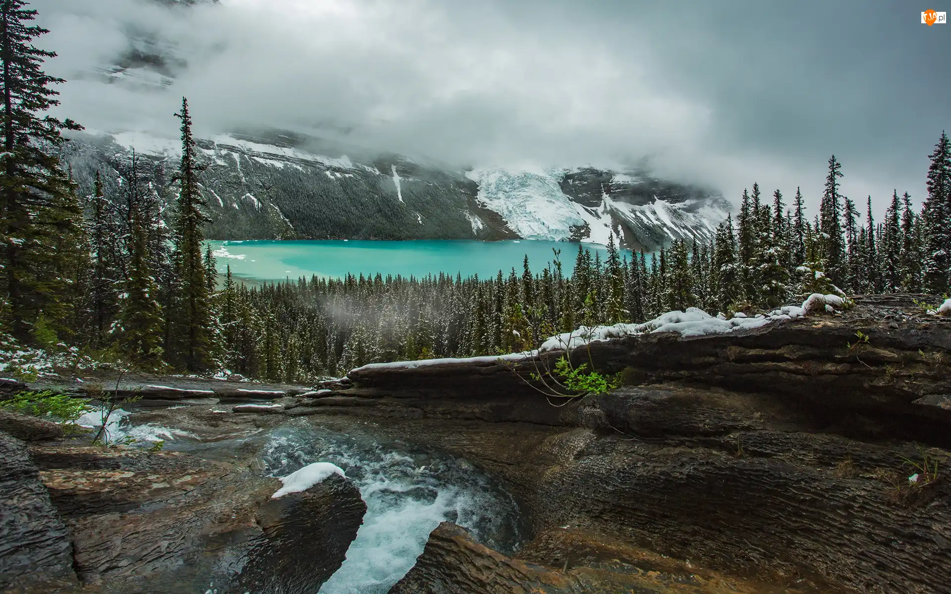 Kanada, Góry Skaliste, Kolumbia Brytyjska, Strumyk, Mgła, Canadian Rockies, Drzewa, Jezioro Berg Lake, Skały