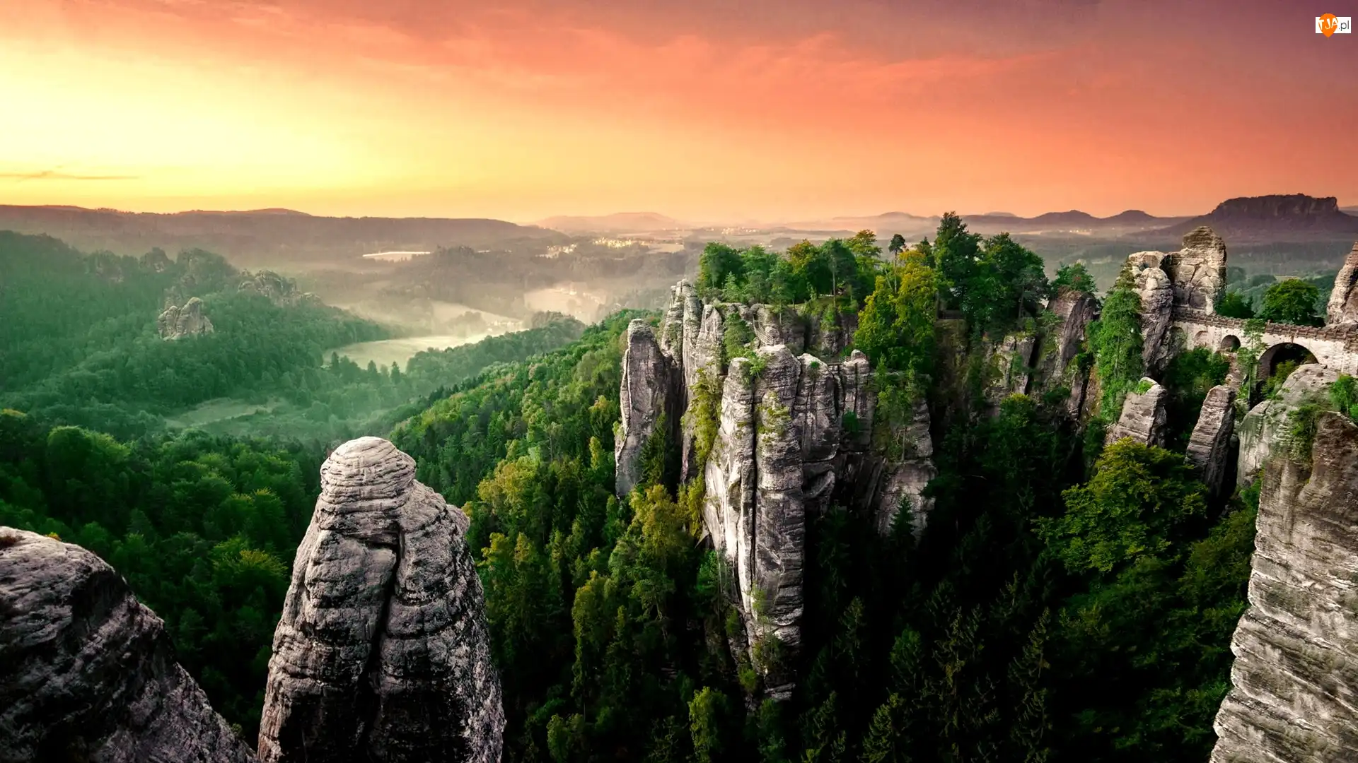Drzewa, Zachód, Słońca, Skały