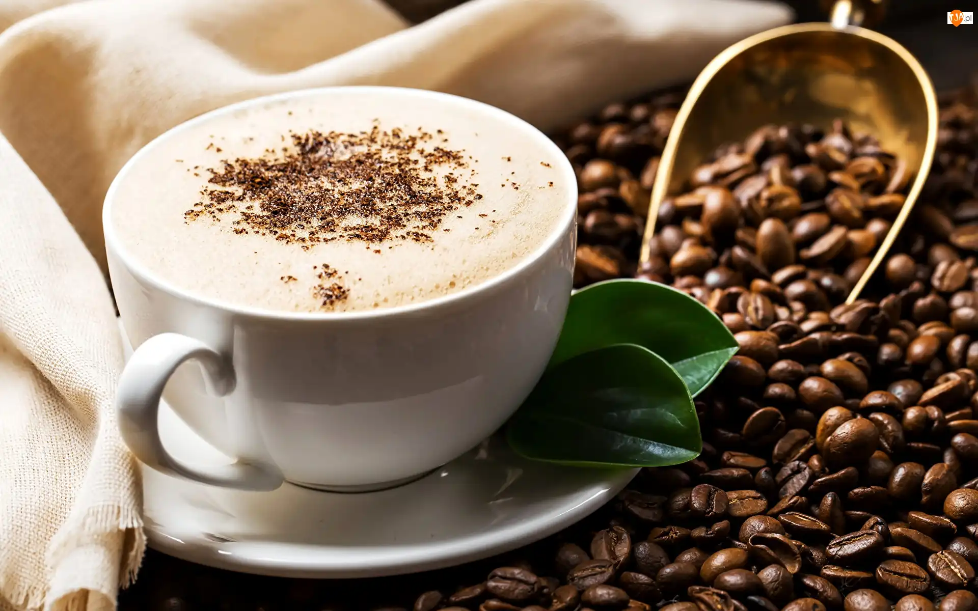 Cappuccino, Biała, Listki, Ziarna, Filiżanka, Kawa, Szufelka, Talerzyk