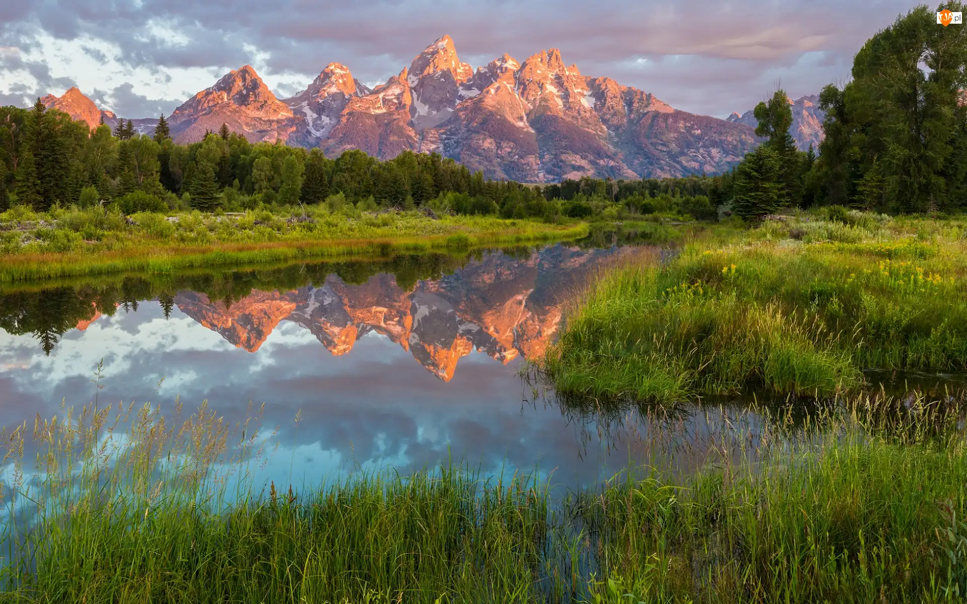 Stan Wyoming, Park Narodowy Grand Teton, Odbicie, Stany Zjednoczone, Drzewa, Jezioro, Pasmo górskie Teton