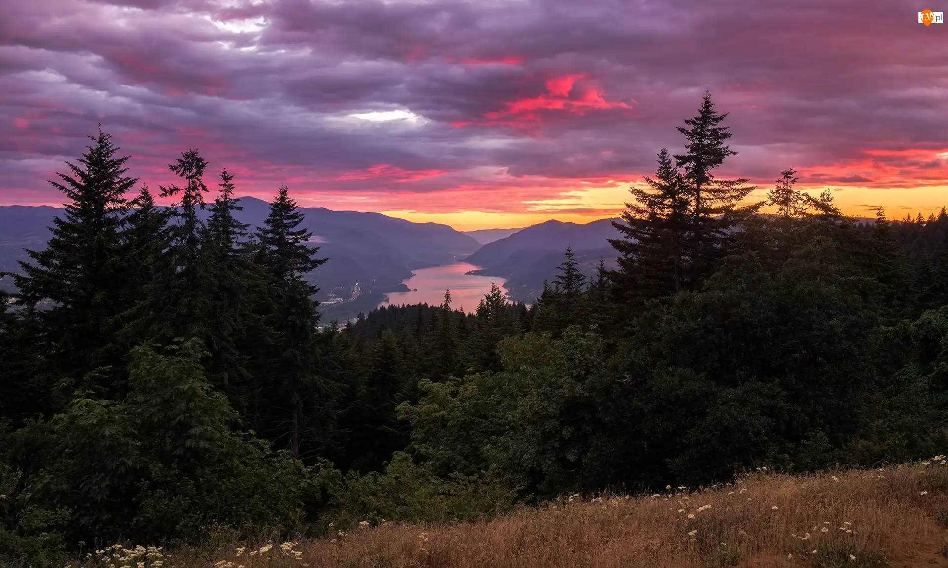 Stany Zjednoczone, Columbia River Gorge, Stan Waszyngton, Chmury, Zachód słońca, Drzewa, Góry Kaskadowe, Góry, Rzeka Kolumbia