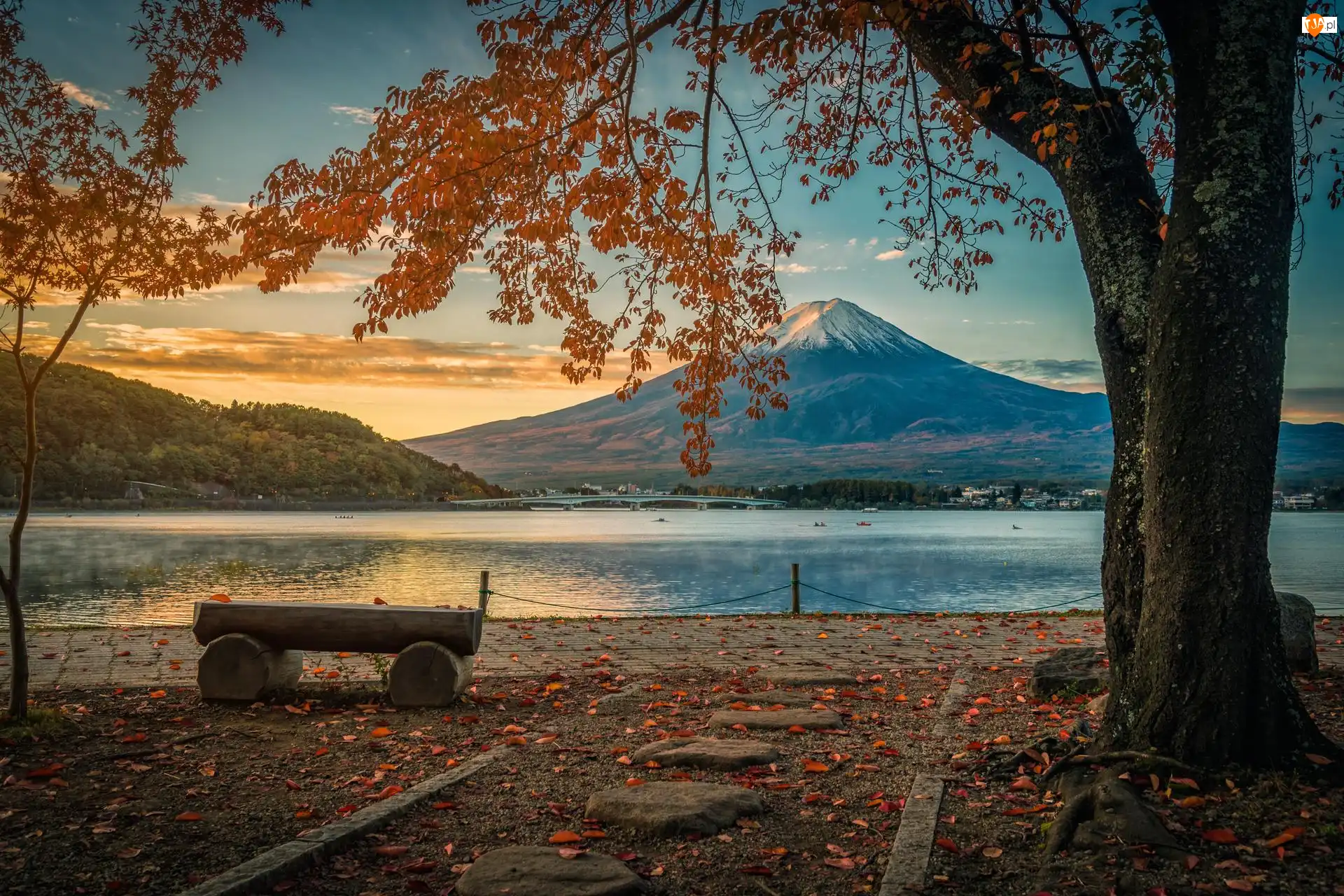 Brzeg, Ława, Jesień, Liście, Jezioro, Wyspa Honsiu, Drzewa, Góra Fudżi, Chmury, Lake Kawaguchi, Japonia
