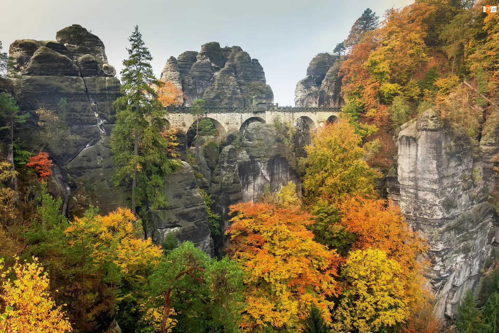 Niemcy, Góry Połabskie, Park Narodowy Saskiej Szwajcarii, Formacja skalna, Bastei, Drzewa, Most, Jesień, Skały