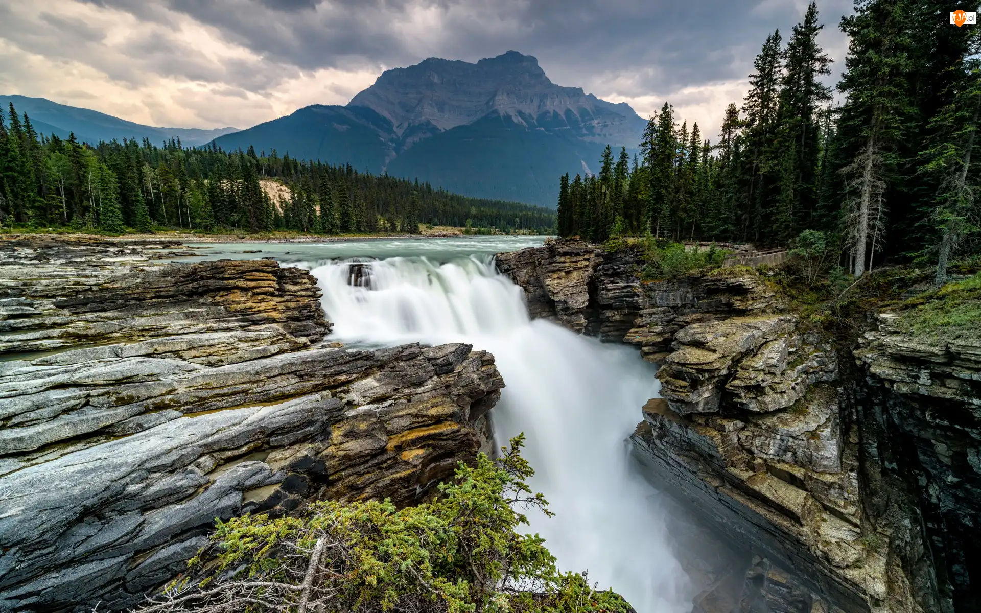 Kanada, Rzeka, Chmury, Athabasca Falls, Drzewa, Athabasca River, Skały, Park Narodowy Jasper, Wodospad