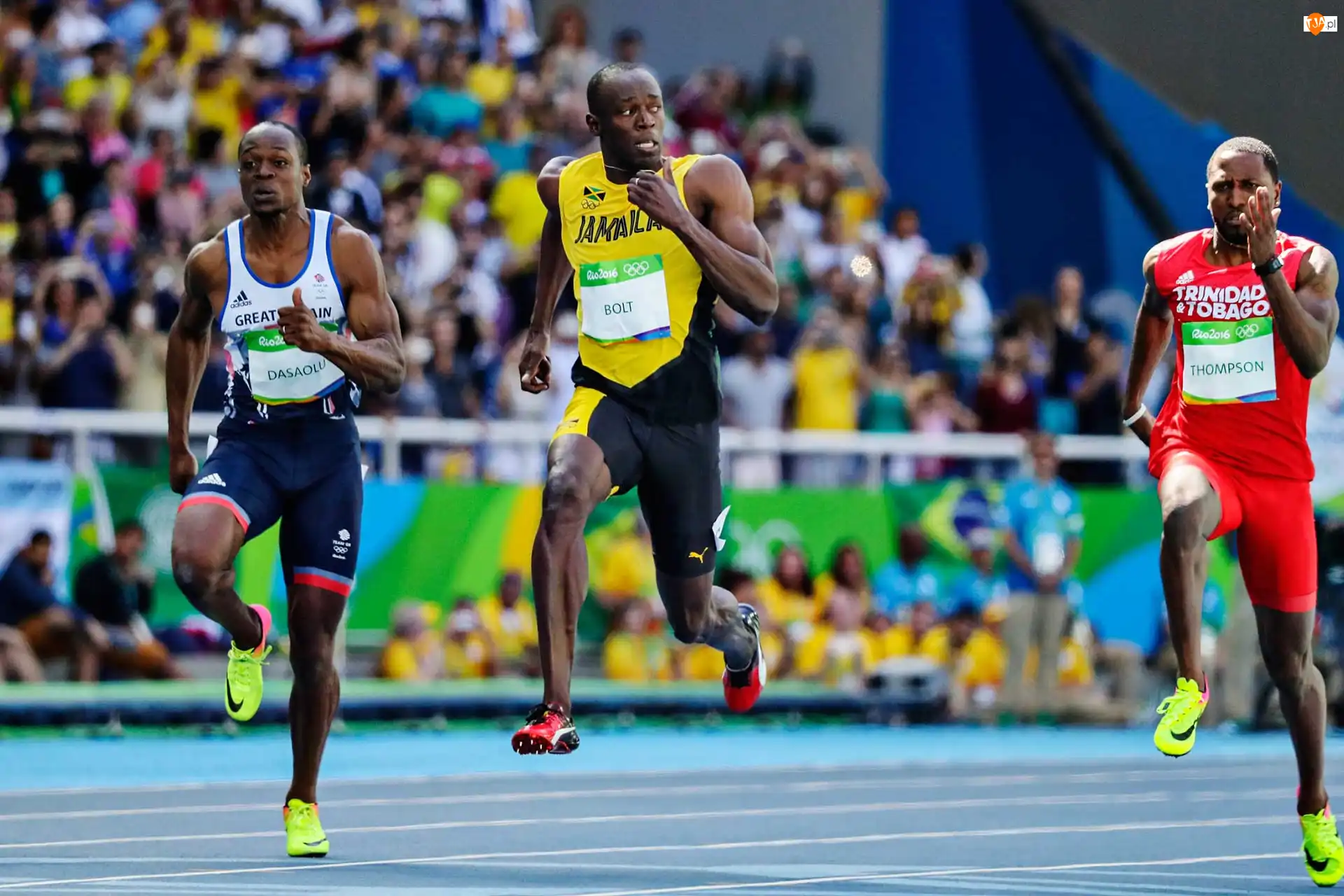 Usain Bolt, Sportowcy, Bieżnia, Bieg