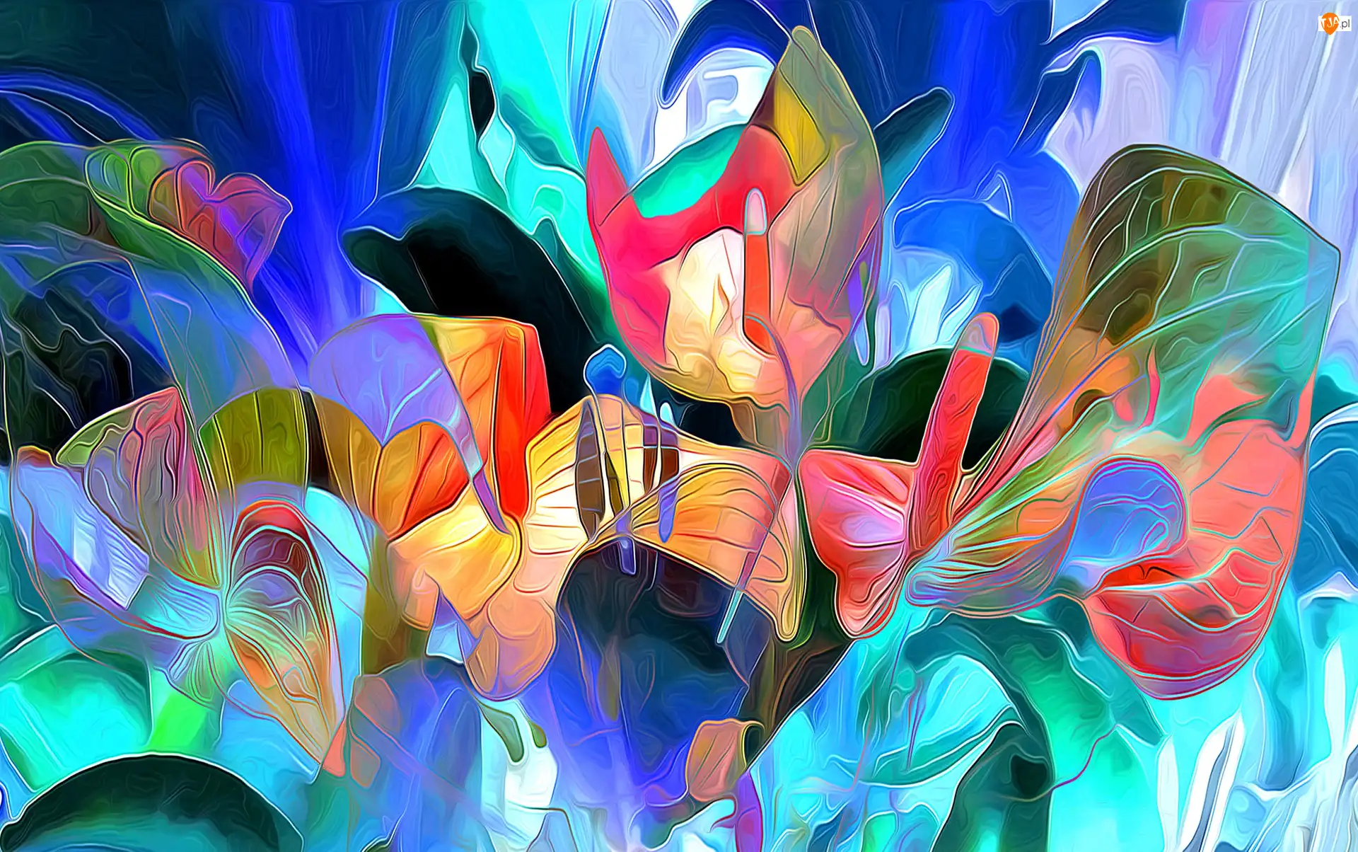 Fractalius, Kwiaty, Kolorowe