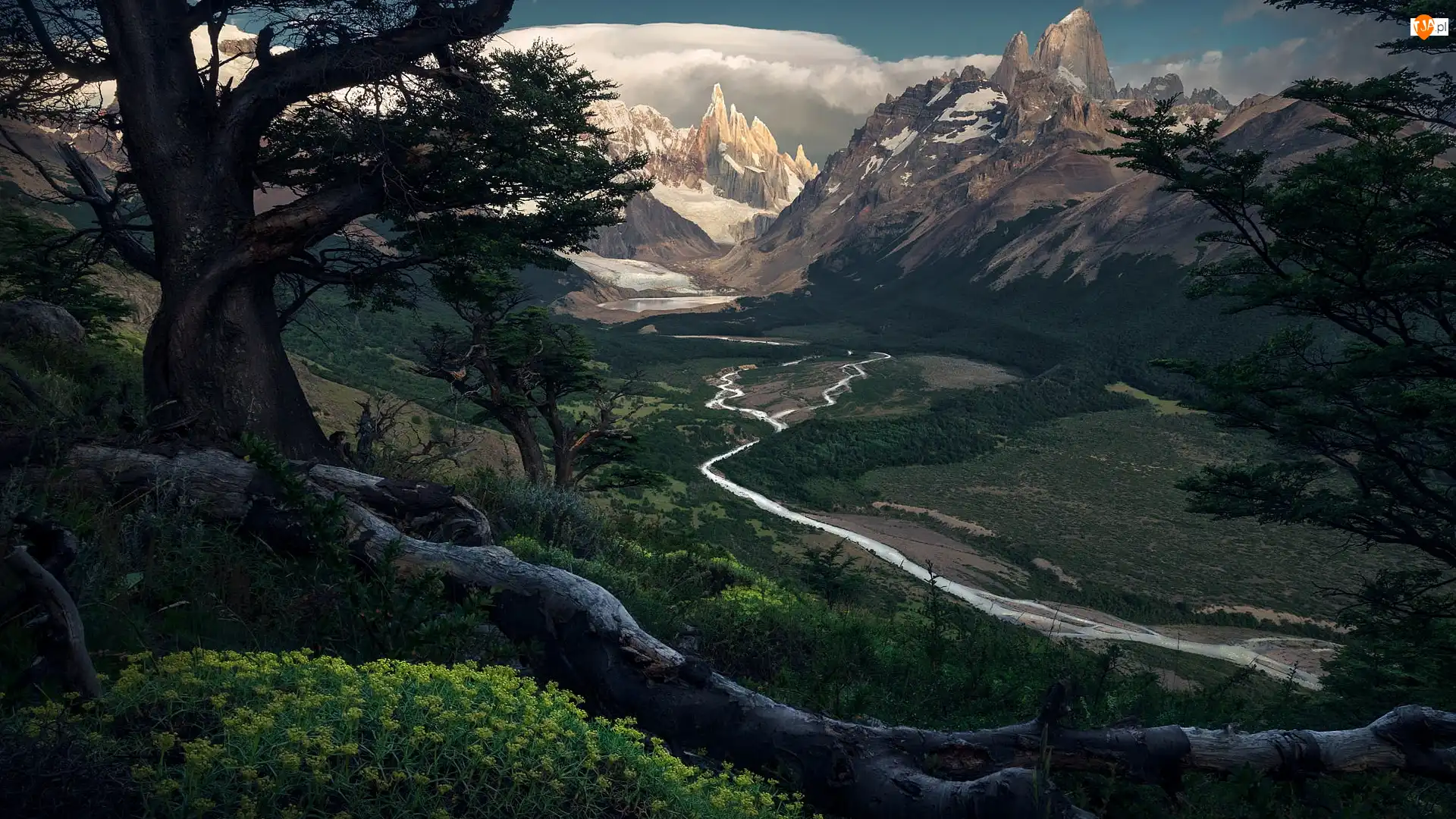 Argentyna, Dolina, Rzeka Rio de las Vueltas, Drzewa, Góry, Park Narodowy Los Glaciares, Szczyt Fitz Roy, Szczyt Cerro Torre, Gałęzie, Patagonia