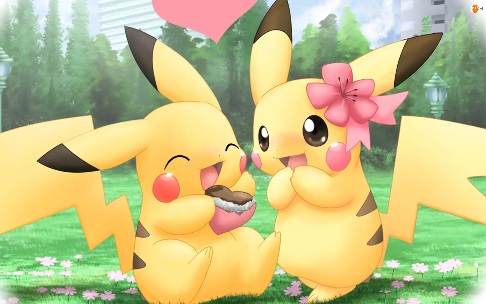 Miłość, Pikachu