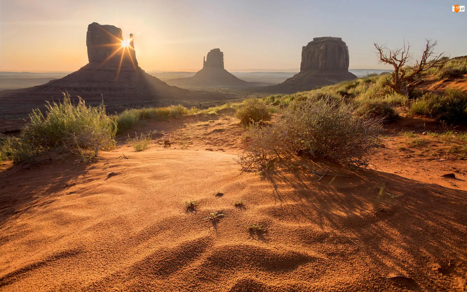 Region Monument Valley, Dolina Pomników, Stany Zjednoczone, Wyżyna Kolorado, Stan Utah, Krzewy, Skały