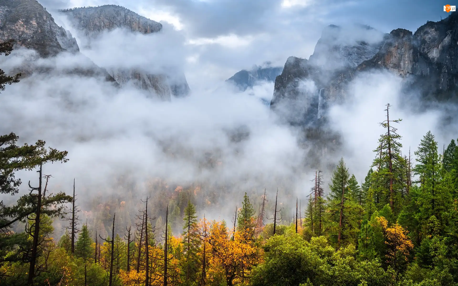 Jesień, Stany Zjednoczone, Drzewa, Mgła, Kalifornia, Lasy, Park Narodowy Yosemite, Góry