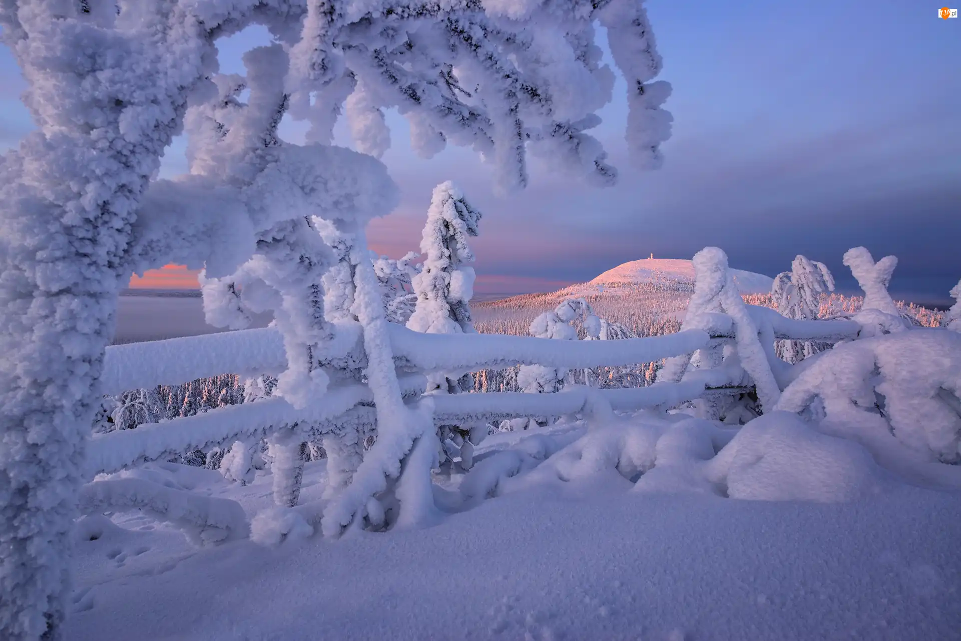 Góry, Drzewa, Finlandia, Zima, Laponia,  Rezerwat Valtavaara, Ogrodzenie