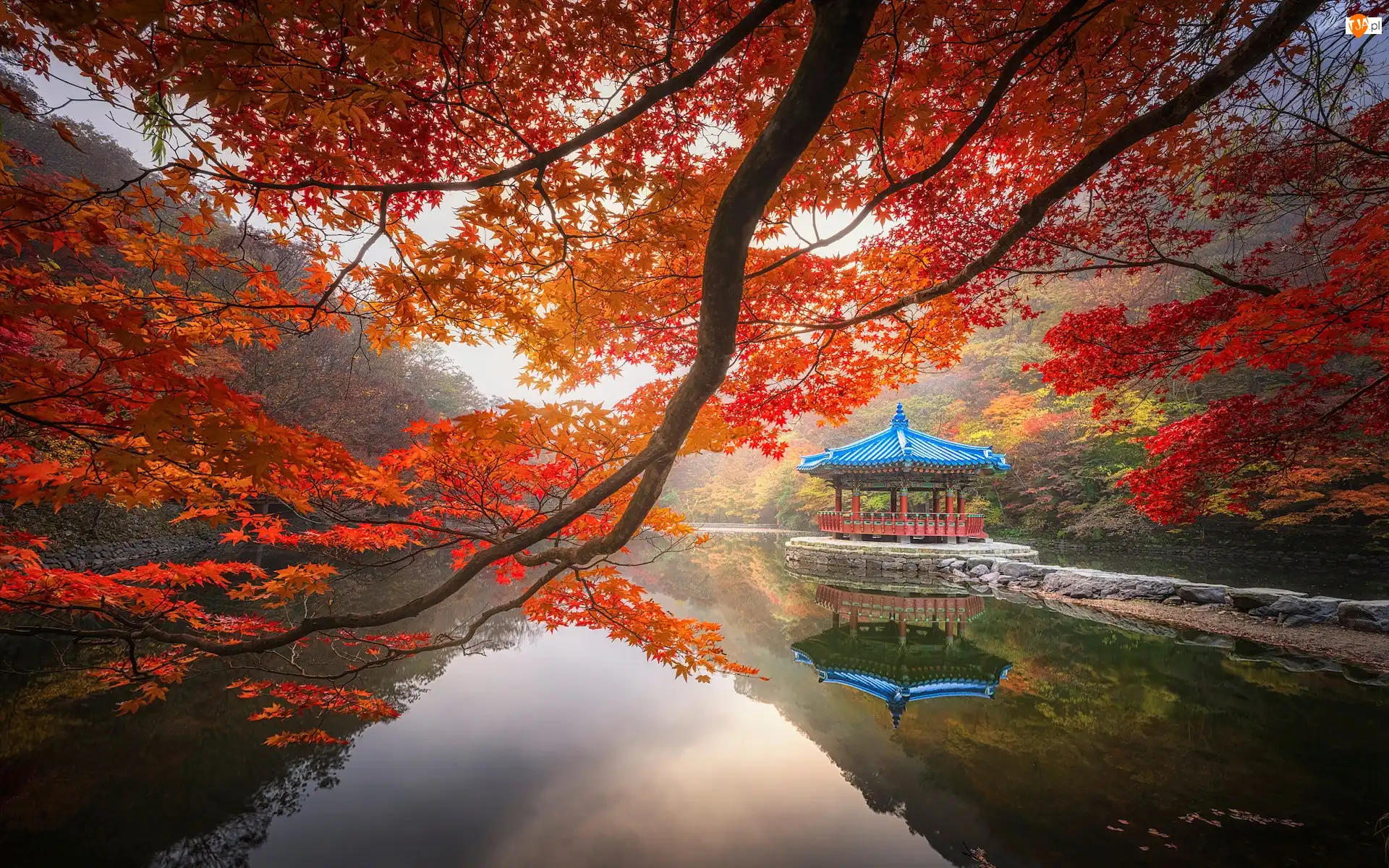 Japonia, Staw Sagiike, Nara, Pawilon Ukimido, Nara Park, Gałęzie, Klon, Jesień, Altana