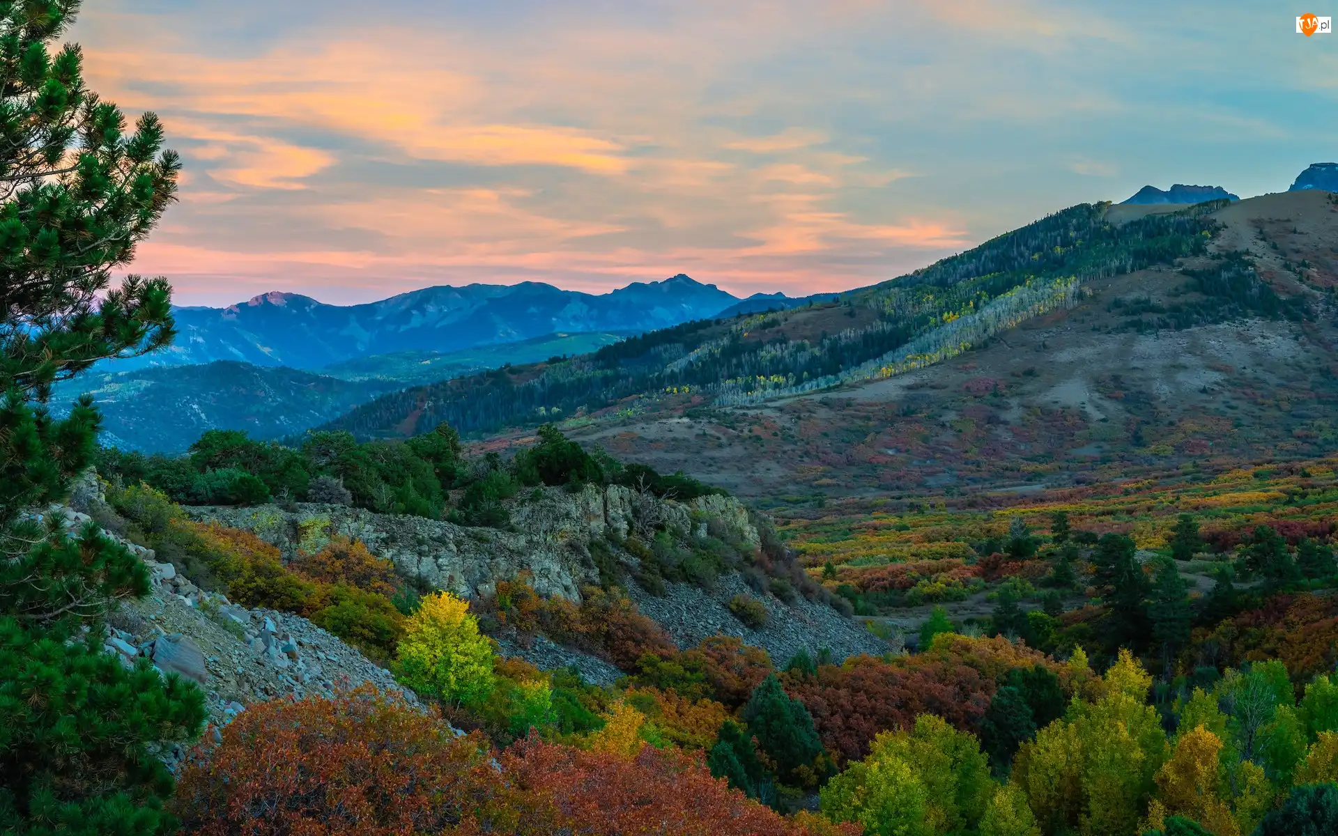 Krzewy, Góry, Kolorowe, Stany Zjednoczone, Telluride, Jesień, Dolina, Lasy, San Juan Mountains, Skały, Drzewa, Kolorado
