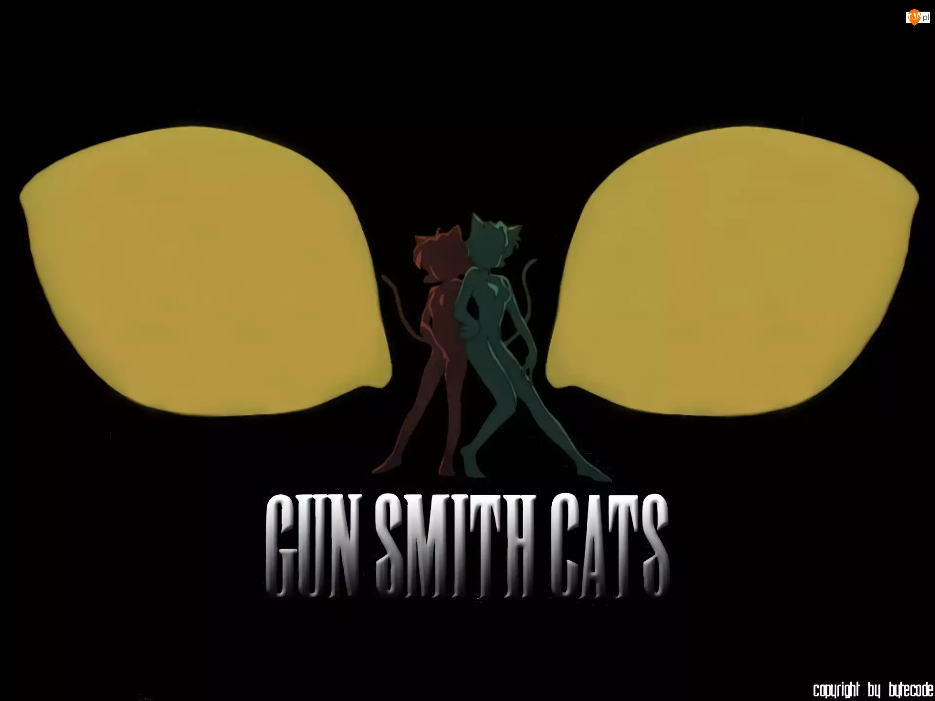 napis, Gunsmith Cats, postacie