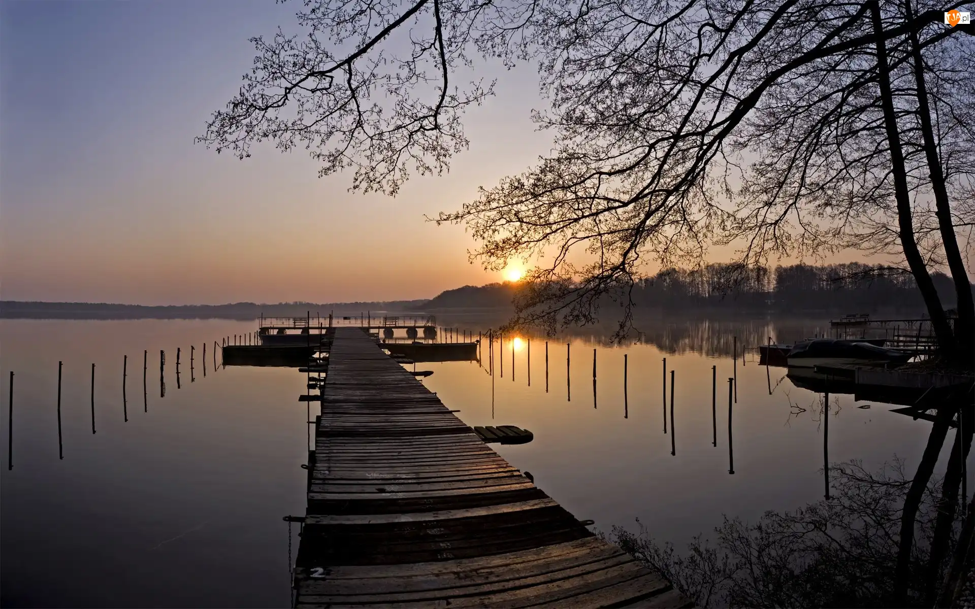 Jezioro, Drzewa, Słońca, Wschód, Molo