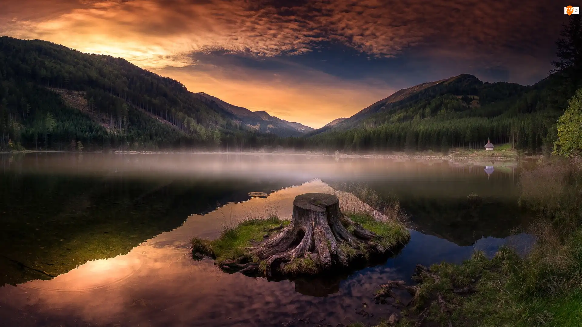 Gmina Gaal, Góry, Mgła, Styria, Jezioro Ingeringsee, Zachód słońca, Austria, Pień