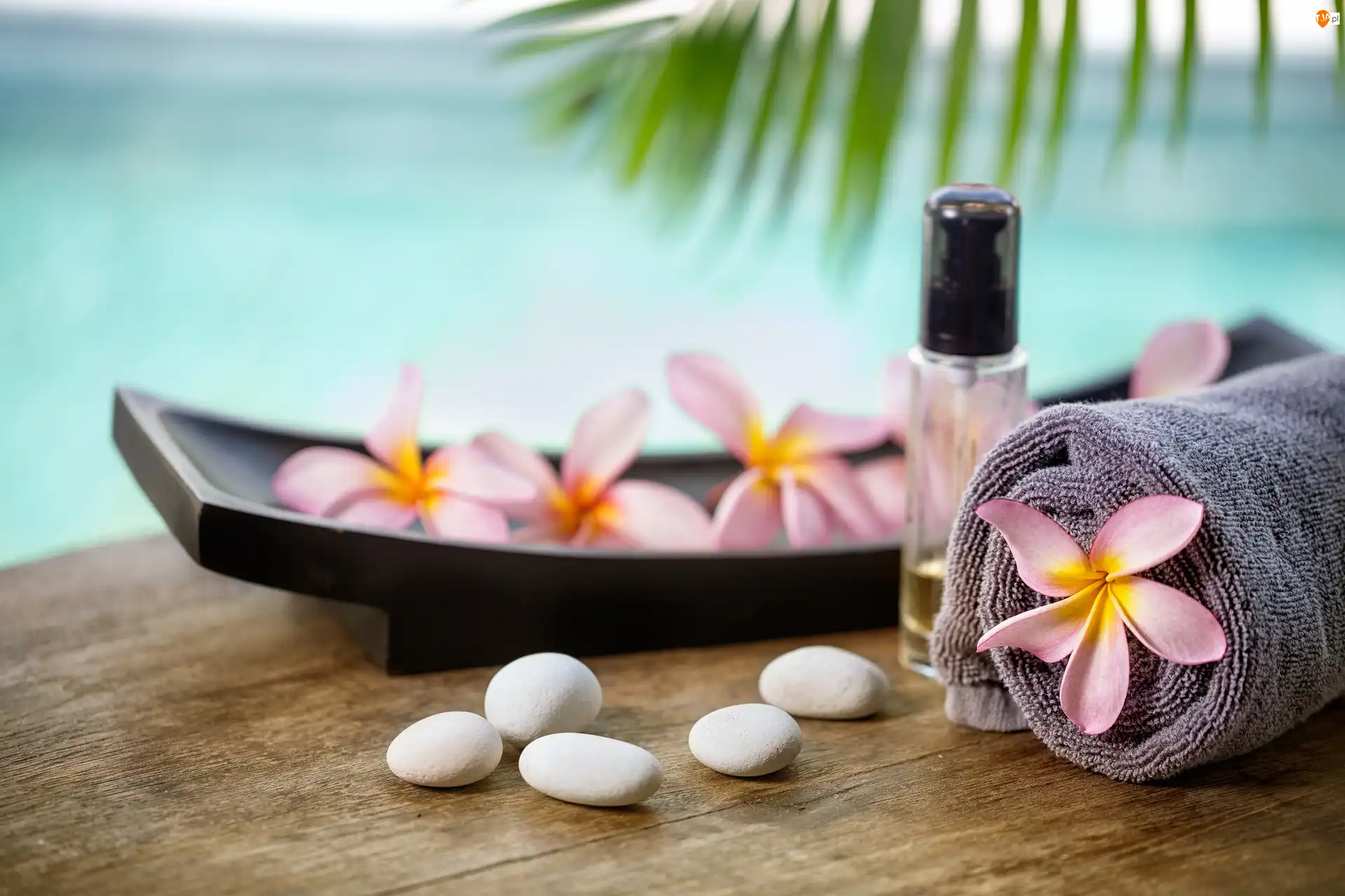 Ręcznik, SPA, Buteleczka, Kwiaty, Kamyki, Plumeria