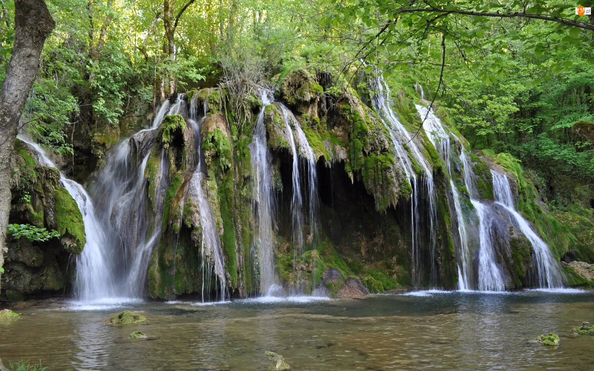 Roślinność, Kaskada