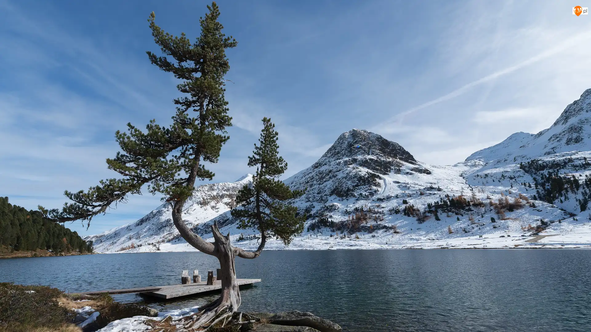 Góry, Jezioro, Park Narodowy Berchtesgaden, Obersee, Sosna, Bawaria, Alpy, Drzewo, Pomost, Ośnieżone, Niemcy