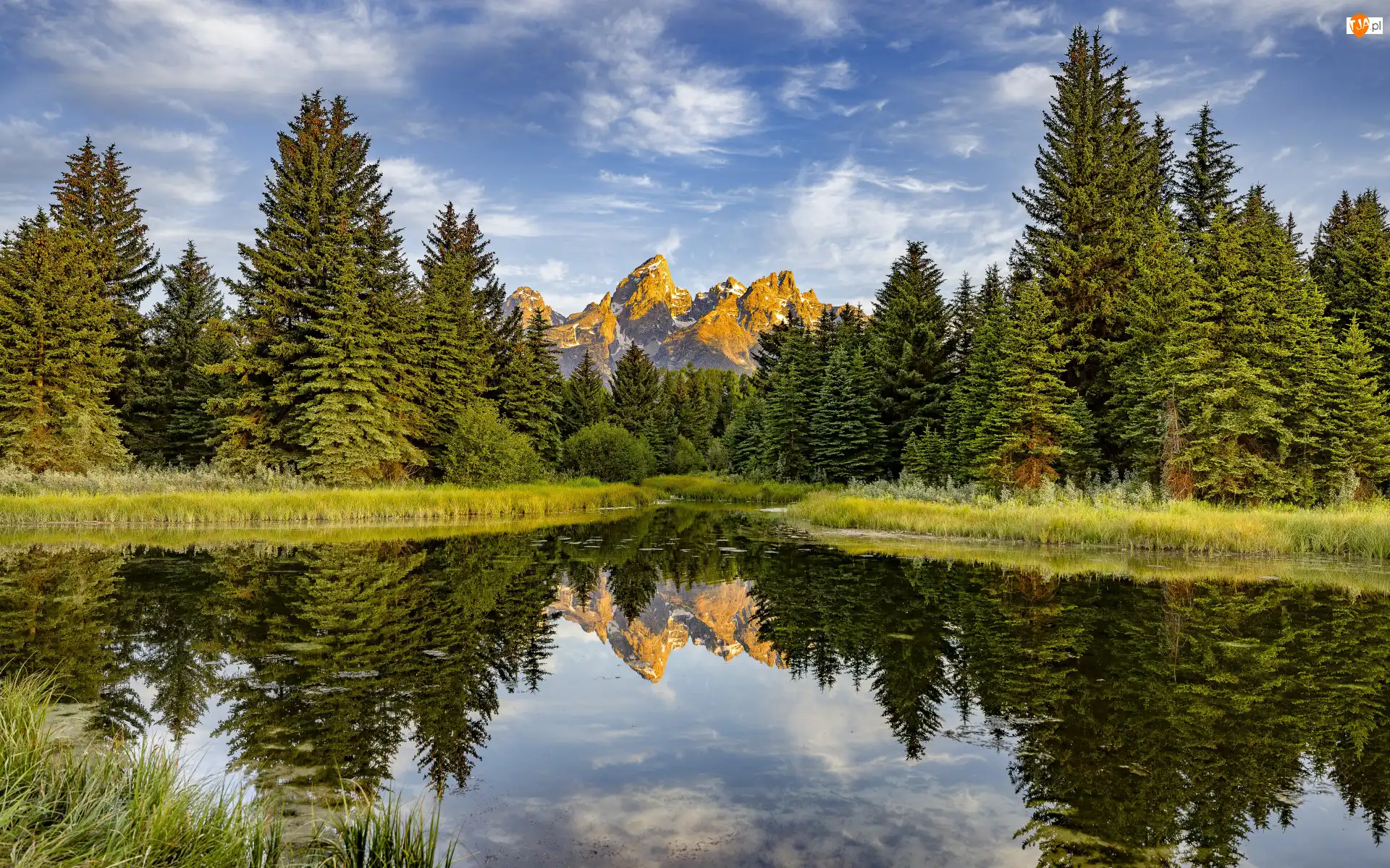 Wyoming, Stany Zjednoczone, Odbie, Park Narodowy Grand Teton, Drzewa, Rzeka, Góry