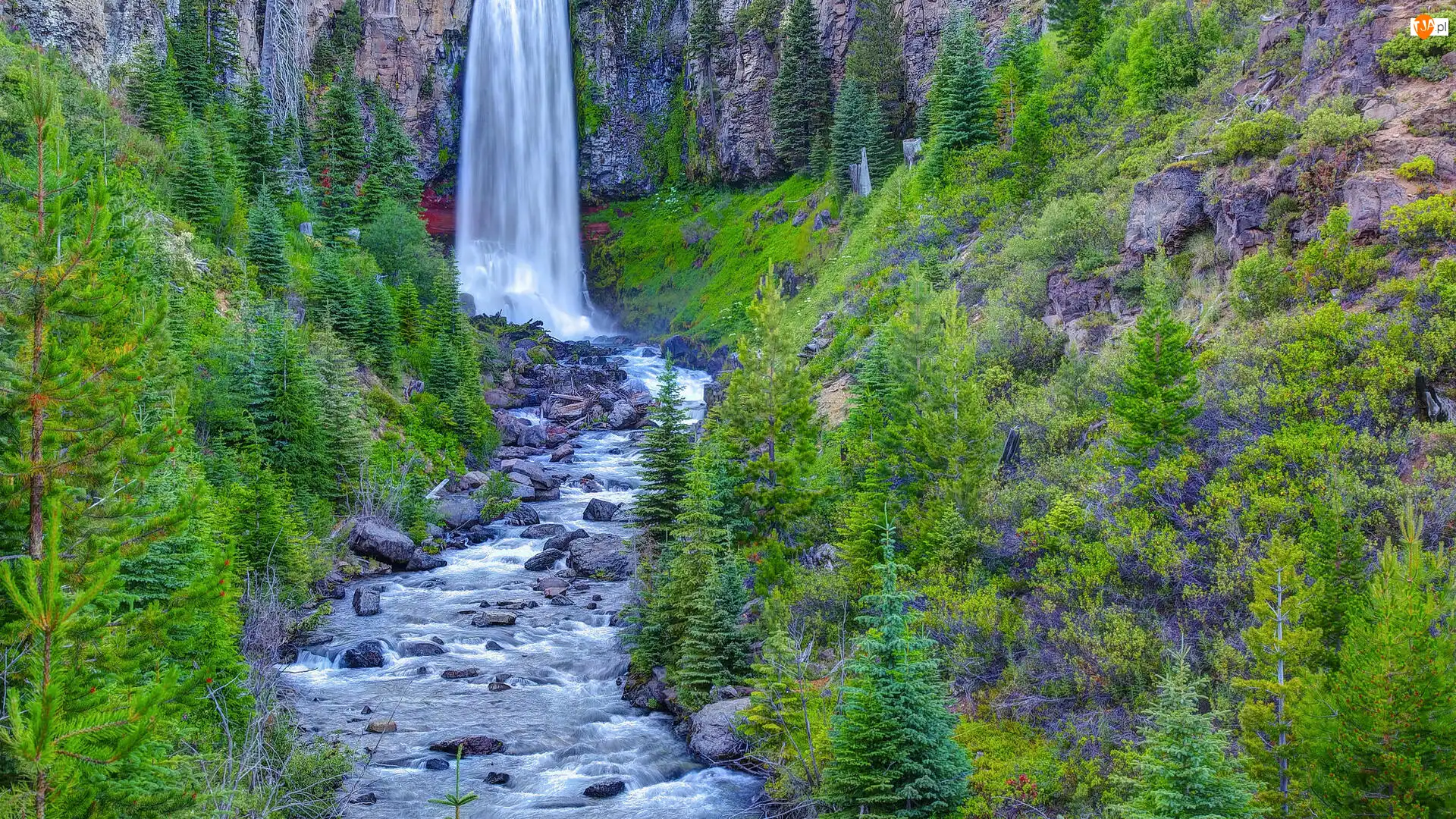Stany Zjednoczone, Tumalo Falls, Stan Oregon, Drzewa, Las, Rzeka, Tumalo Creek, Wodospad, Skały