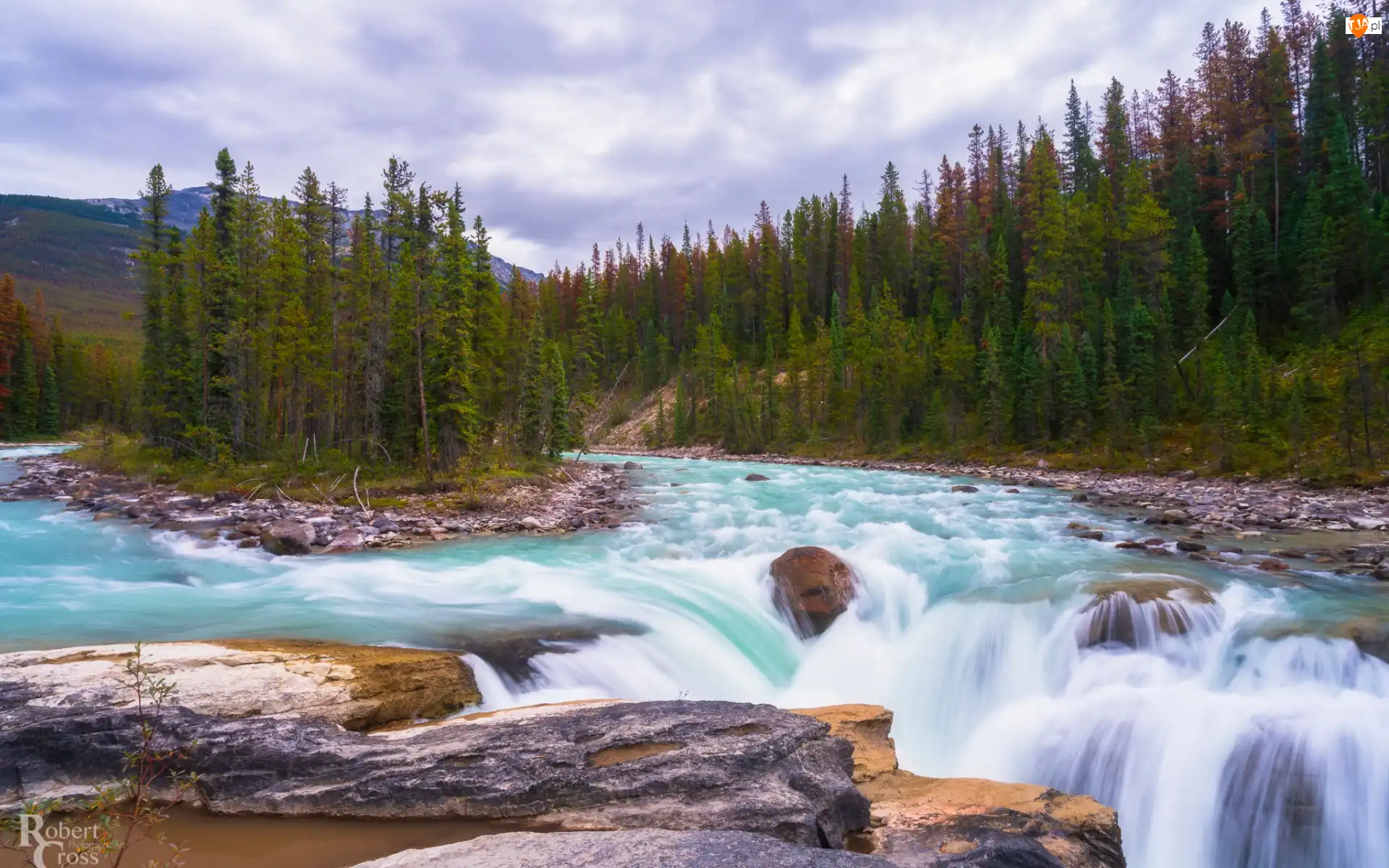 Sunwapta Falls, Park Narodowy Jasper, Skały, Wodospad, Alberta, Sunwapta River, Las, Drzewa, Chmury, Kamienie, Kanada, Rzeka, Góry