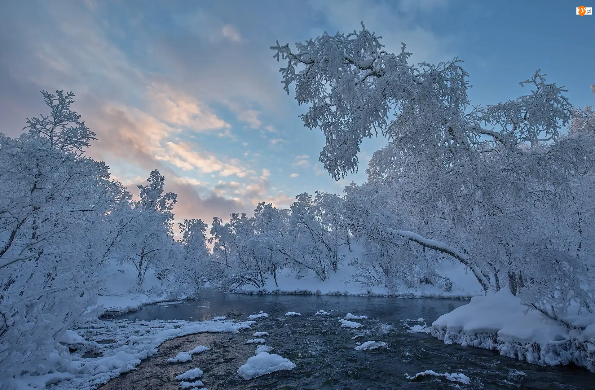 Rzeka, Rzeka Kaamasjoki, Finlandia, Ośnieżone, Wioska Kaamasmukka, Zima, Drzewa, Laponia