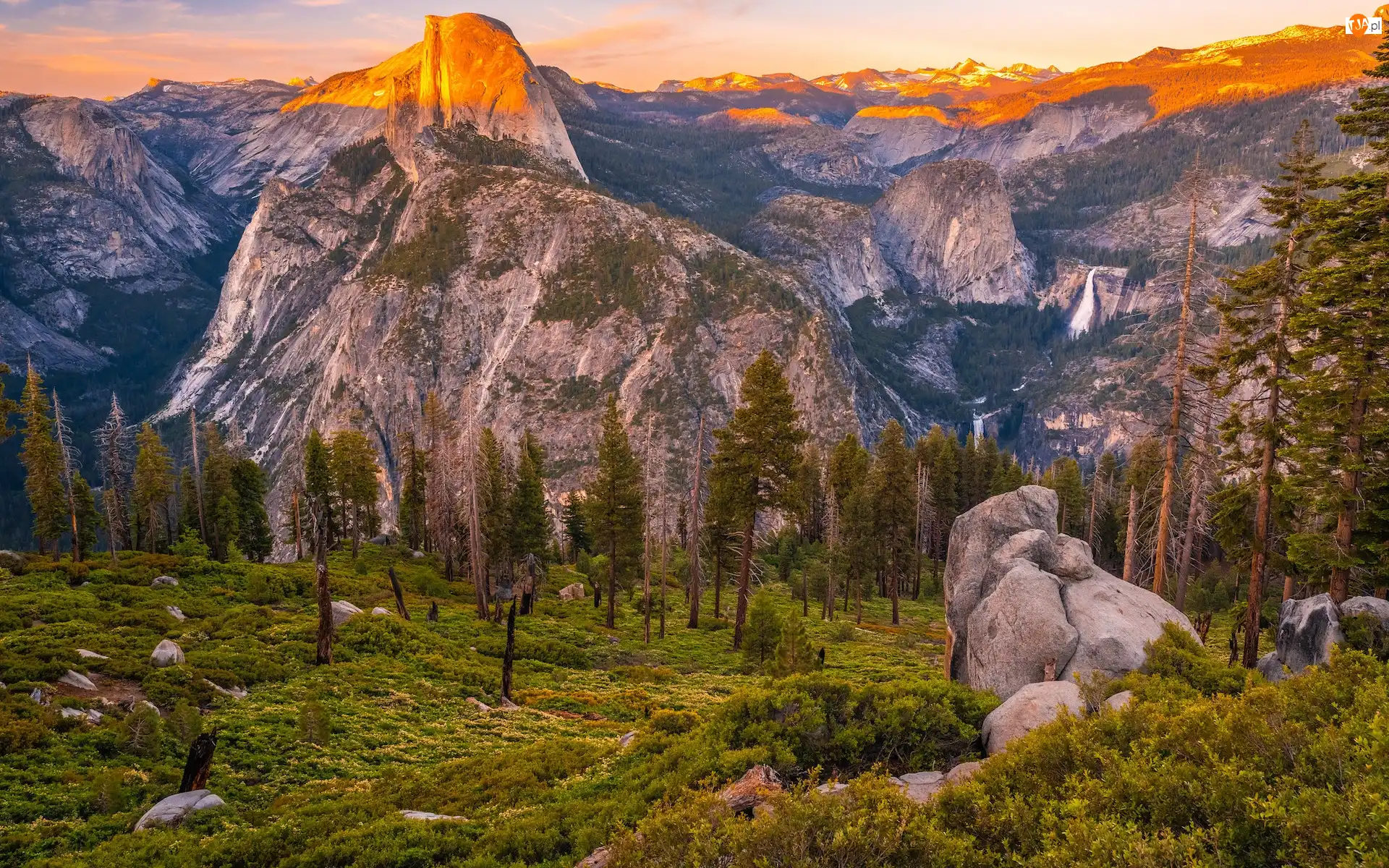 Stany Zjednoczone, Góry, Kalifornia, Roślinność, Skały, Góra, Half Dome, Park Narodowy Yosemite, Drzewa
