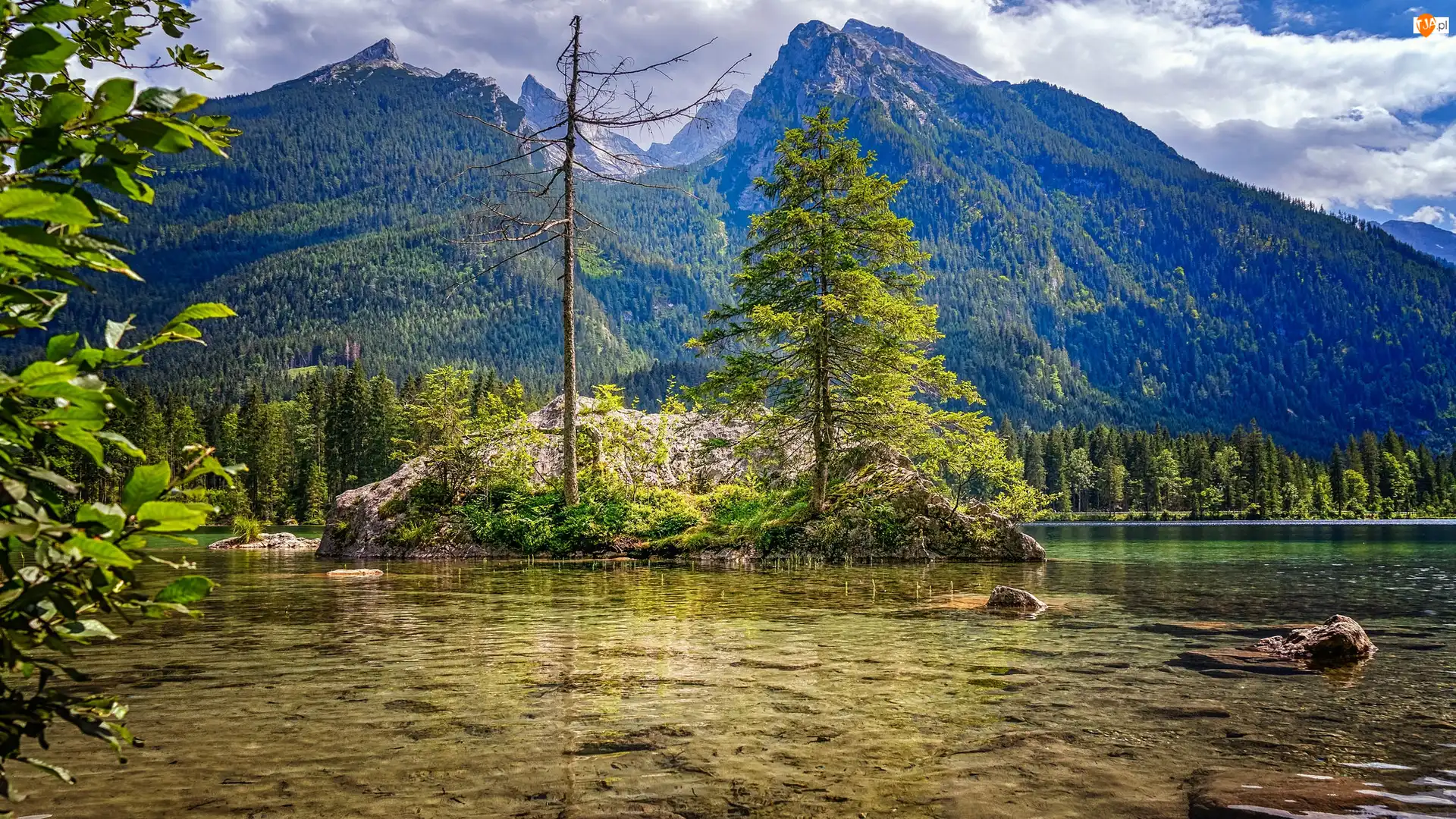 Alpy, Skały, Niemcy, Góry, Bawaria, Jezioro Hintersee, Drzewa