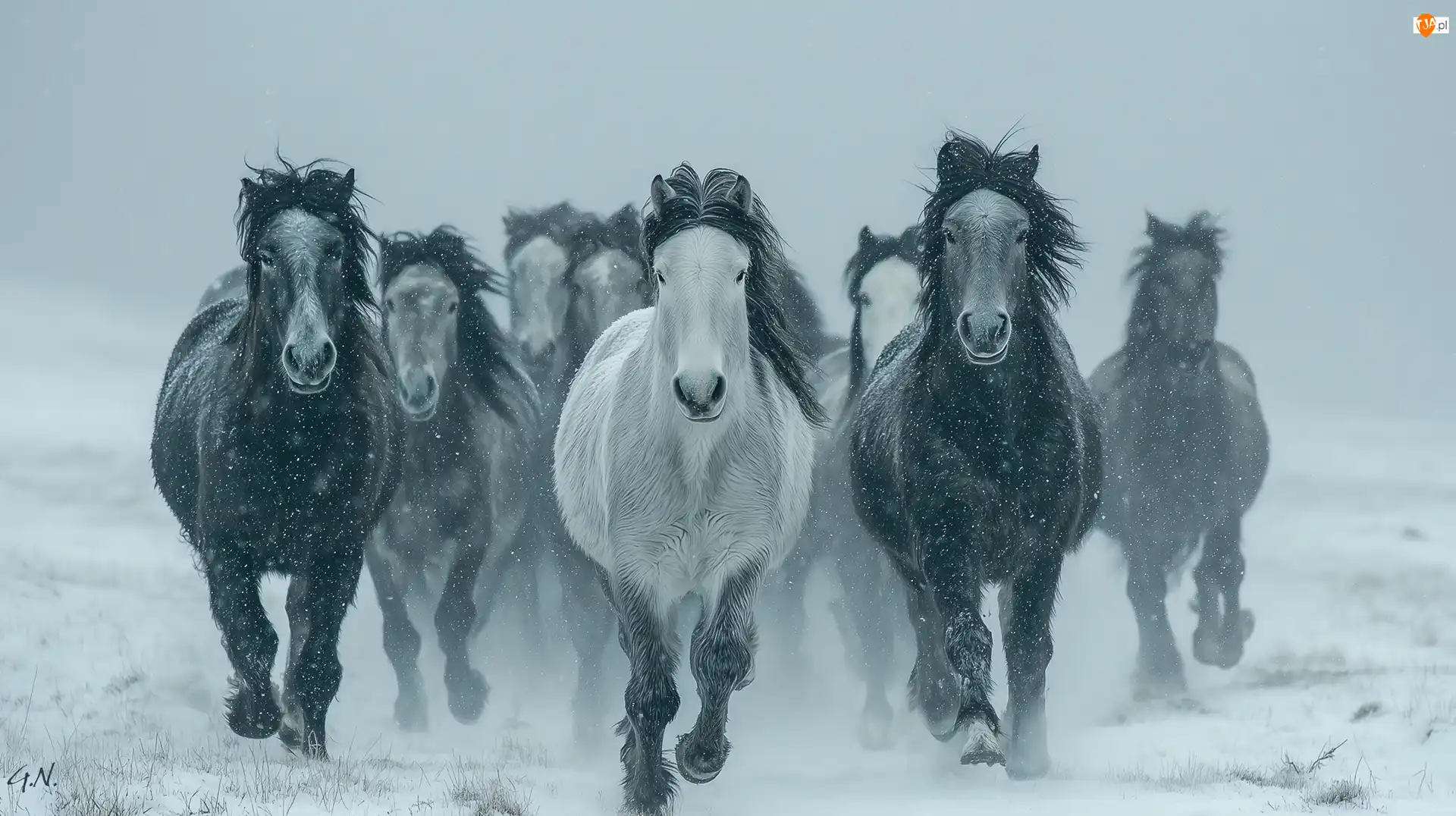 Grafika AI, Konie, Galop, Zima
