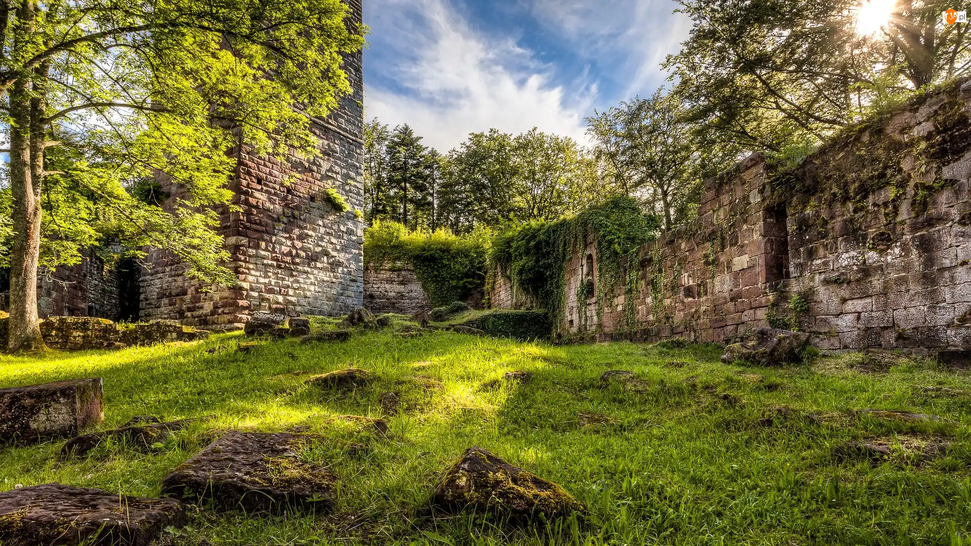 Niemcy, Wildenberg Castle, Bawaria, Trawa, Kirchzell, Mury, Drzewa, Ruiny, Rośliny