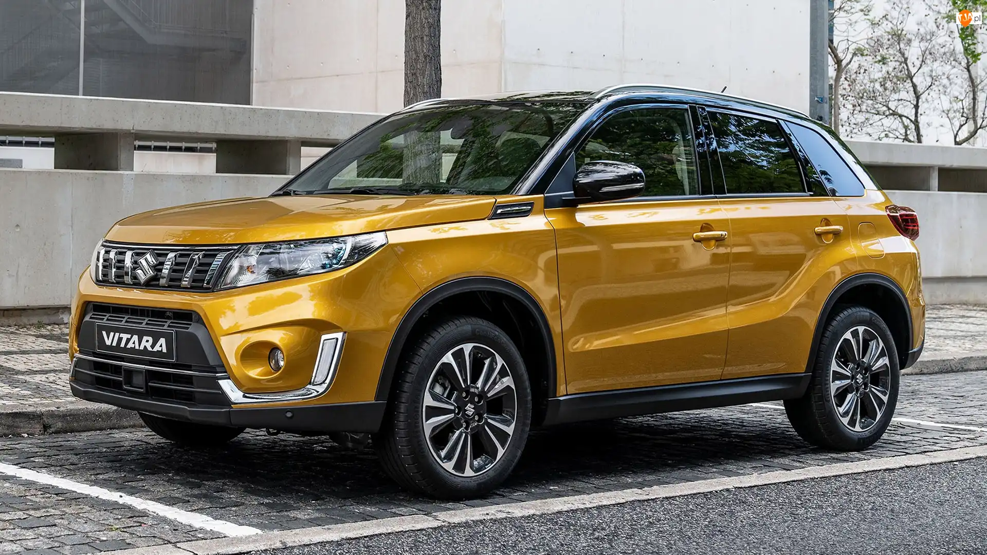 Suzuki Vitara, Żółty